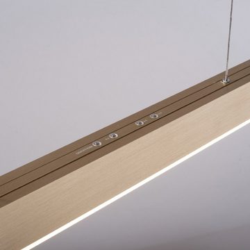 Paul Neuhaus LED Pendelleuchte Pure-Moto, dimmbar, LED fest integriert, Warmweiß, Tageslichtweiß, Neutralweiß, höhenverstellbar, Schirm ausziehbar, dimmbar, CCT, Fernbedienung