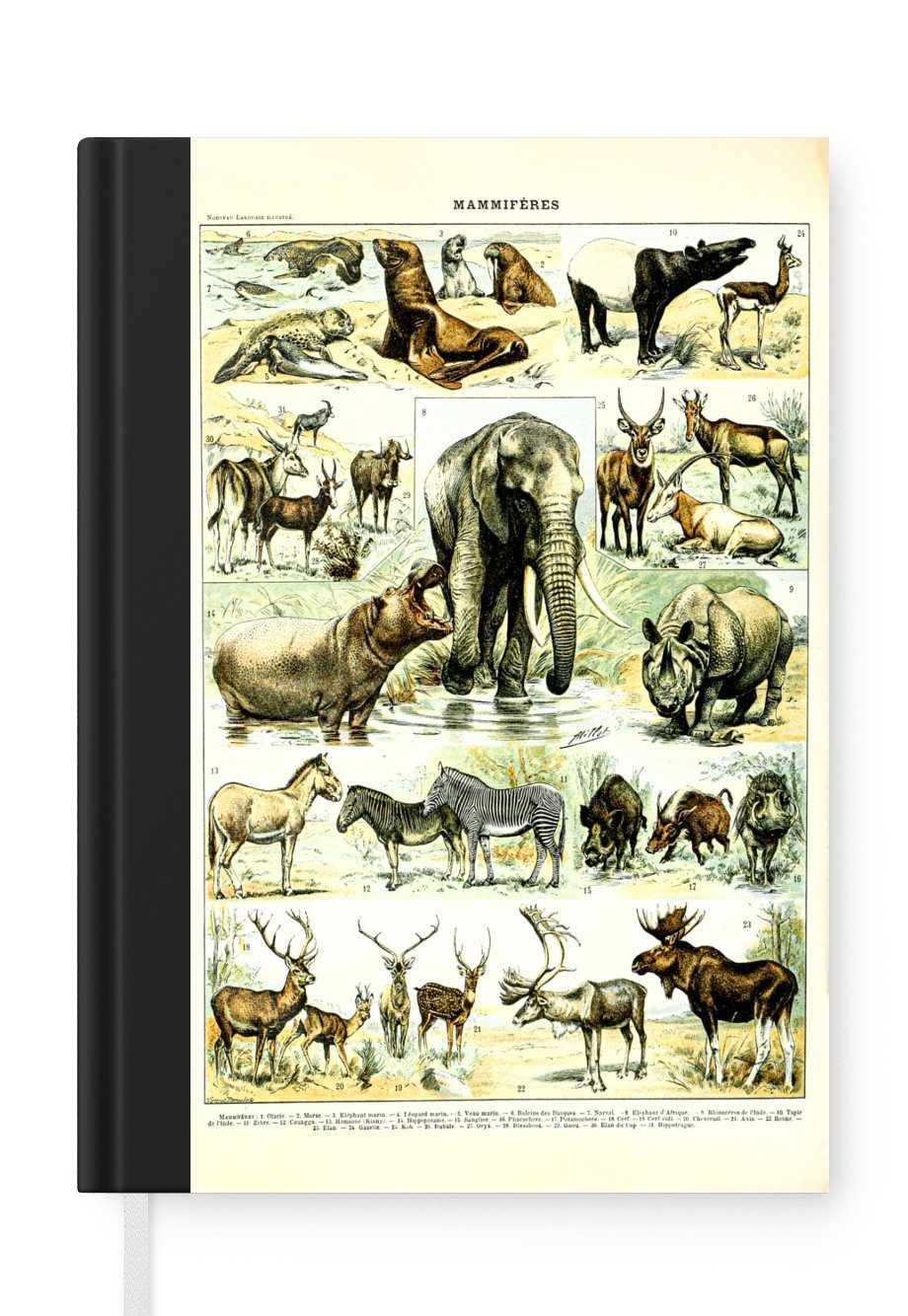 MuchoWow Notizbuch Tiere - Elefanten - Hirsche, Journal, Merkzettel, Tagebuch, Notizheft, A5, 98 Seiten, Haushaltsbuch