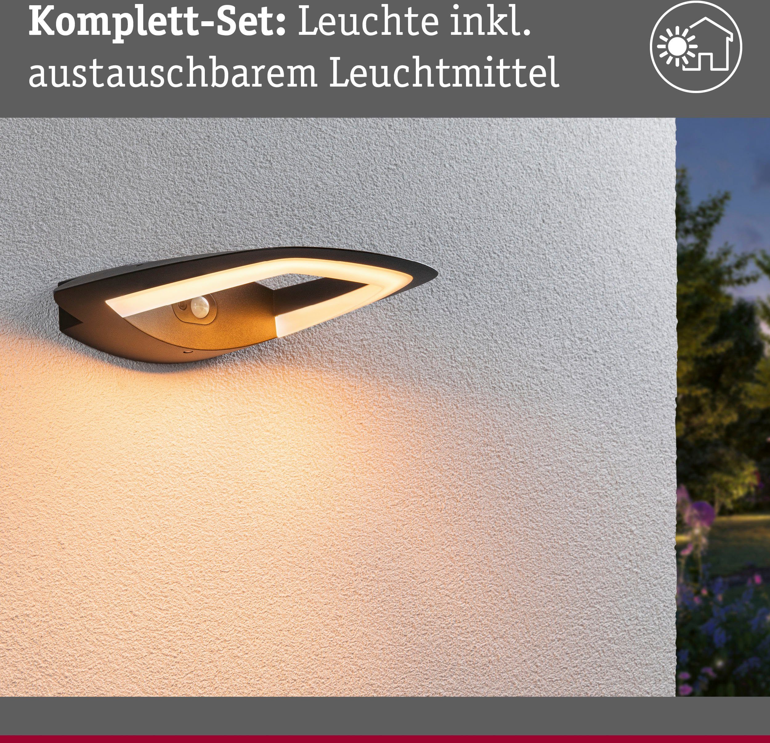 Freindly 230V PIR anthrazit, LED fest integriert, Außen-Wandleuchte Insektenfreundlich Paulmann Outdoor LED Akena Insect