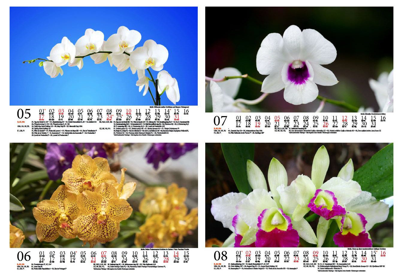 Seelenzauber Tischkalender Orchideenzauber DIN A5 Tischkalender für 2026 Orchideen und Blüten