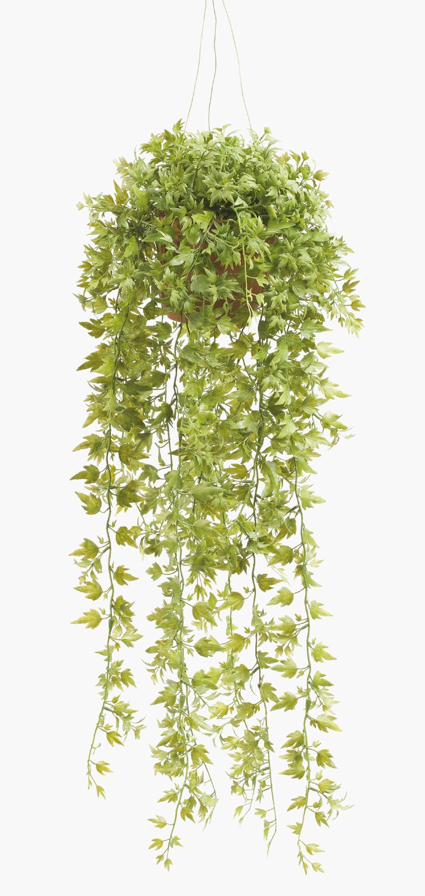 Künstliche Zimmerpflanze Künstliche Blumenampel Johanna, Efeu, grün, 50cm - Deko Kletterpflanze Efeu, artplants, Höhe 50.0 cm