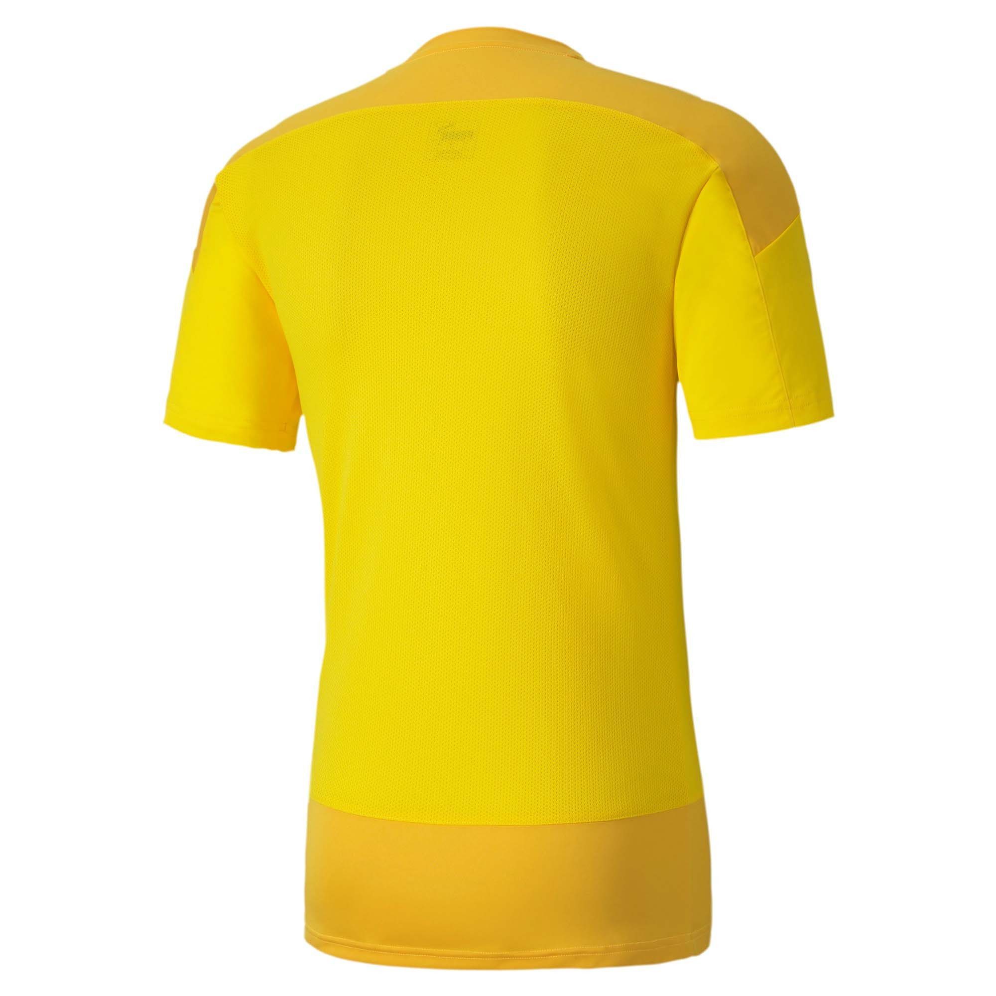 PUMA Fußballtrikot Puma Herren Trainingstrikot teamGOAL 23 Training Jersey 656482
