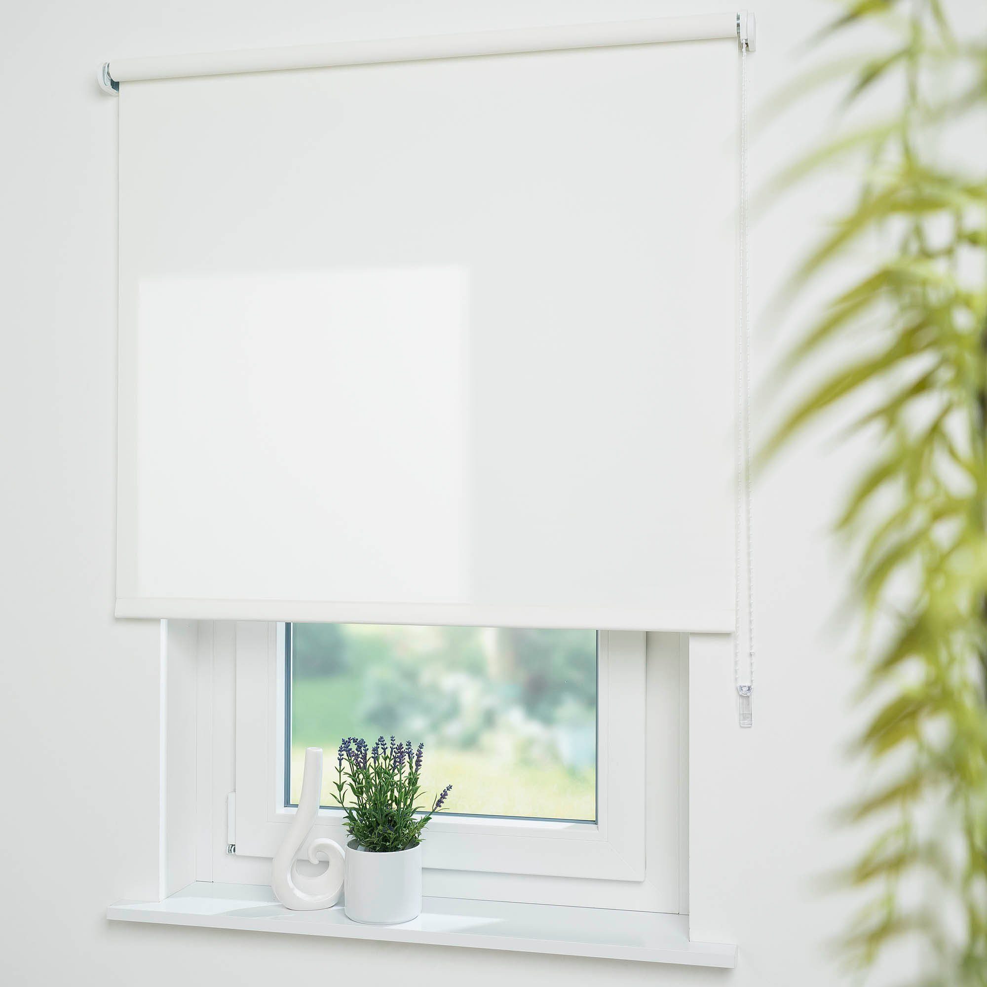 Liedeco Seitenzugrollo »Uni«, Lichtschutz, mit Bohren, freihängend, Welle 3 günstig online kaufen