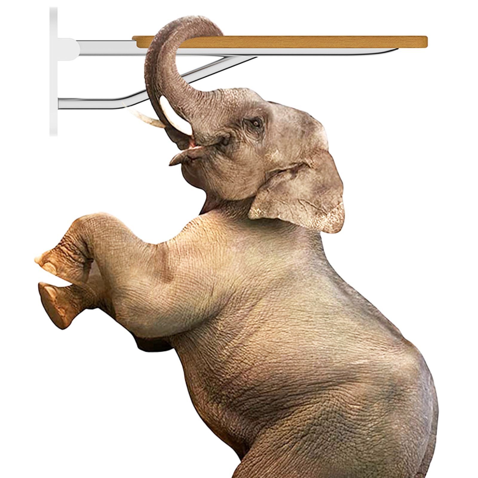 HEUFFE WC-Aufstehhilfe aufstehhilfe, zur wandmontage, für bewegungseingeschränkte Personen, belastbar bis 200 kg, glänzend, 90°-klappbar, aus Eiche, EUIPO-zertifiziert