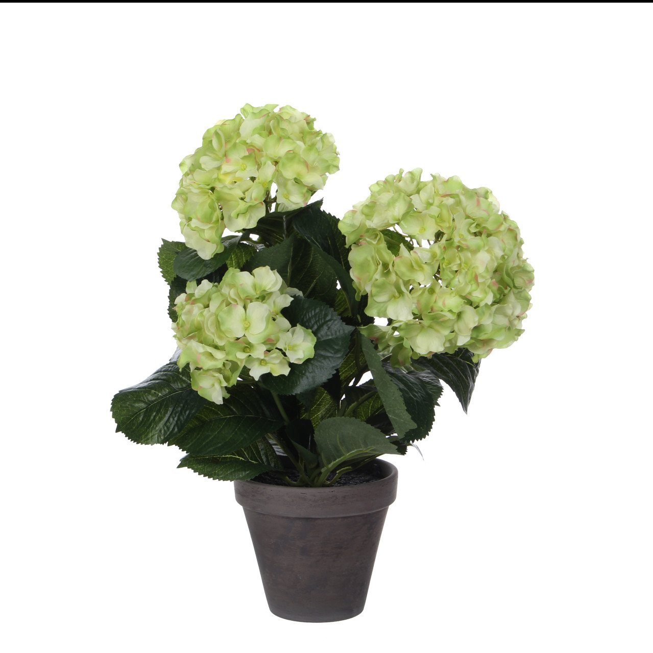 Kunstpflanze Mica Kunstpflanze Hortensie im Topf günstig online kaufen