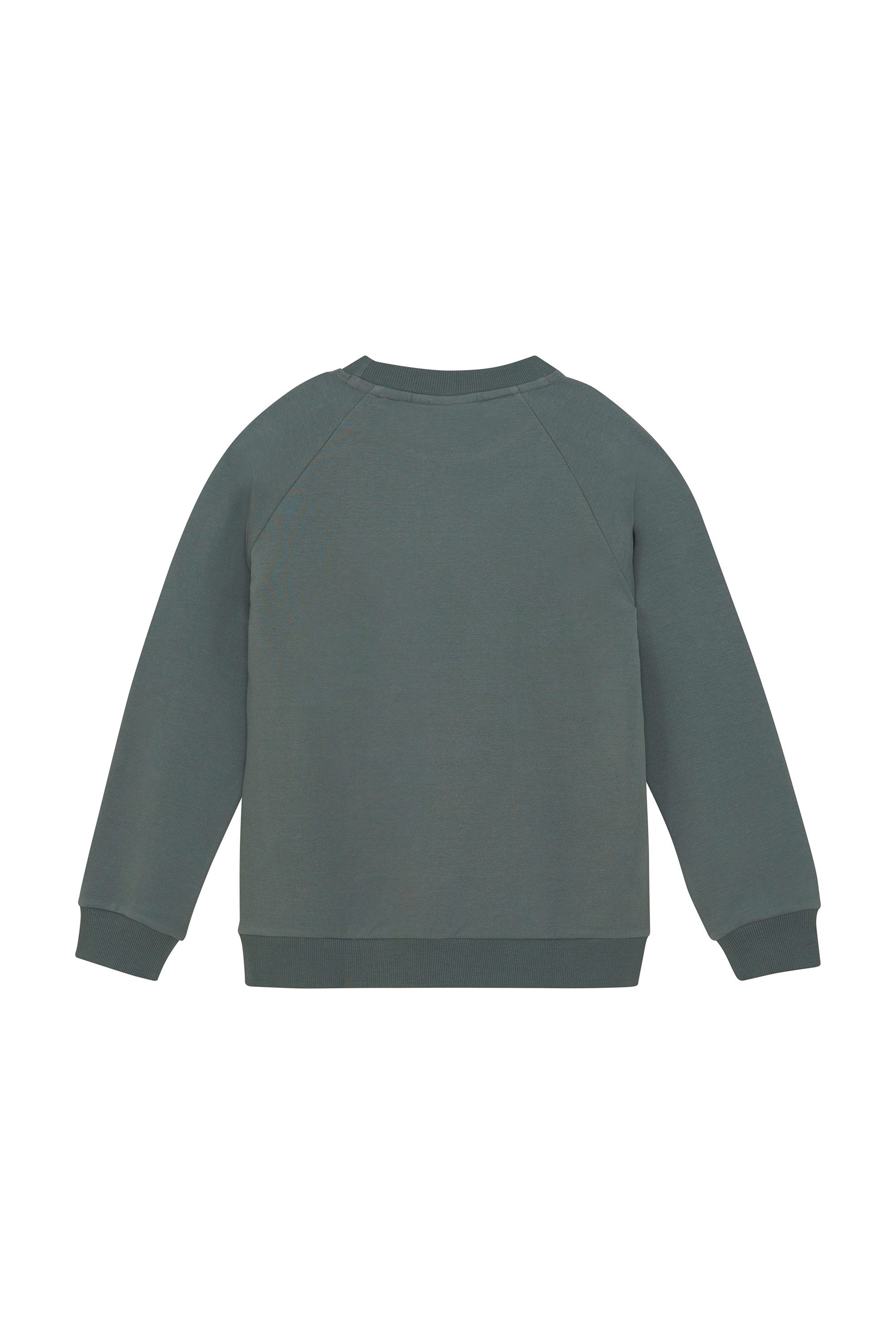 COLOR KIDS Sweater COSweat W. JR. Logo Print Stylischer Pullover