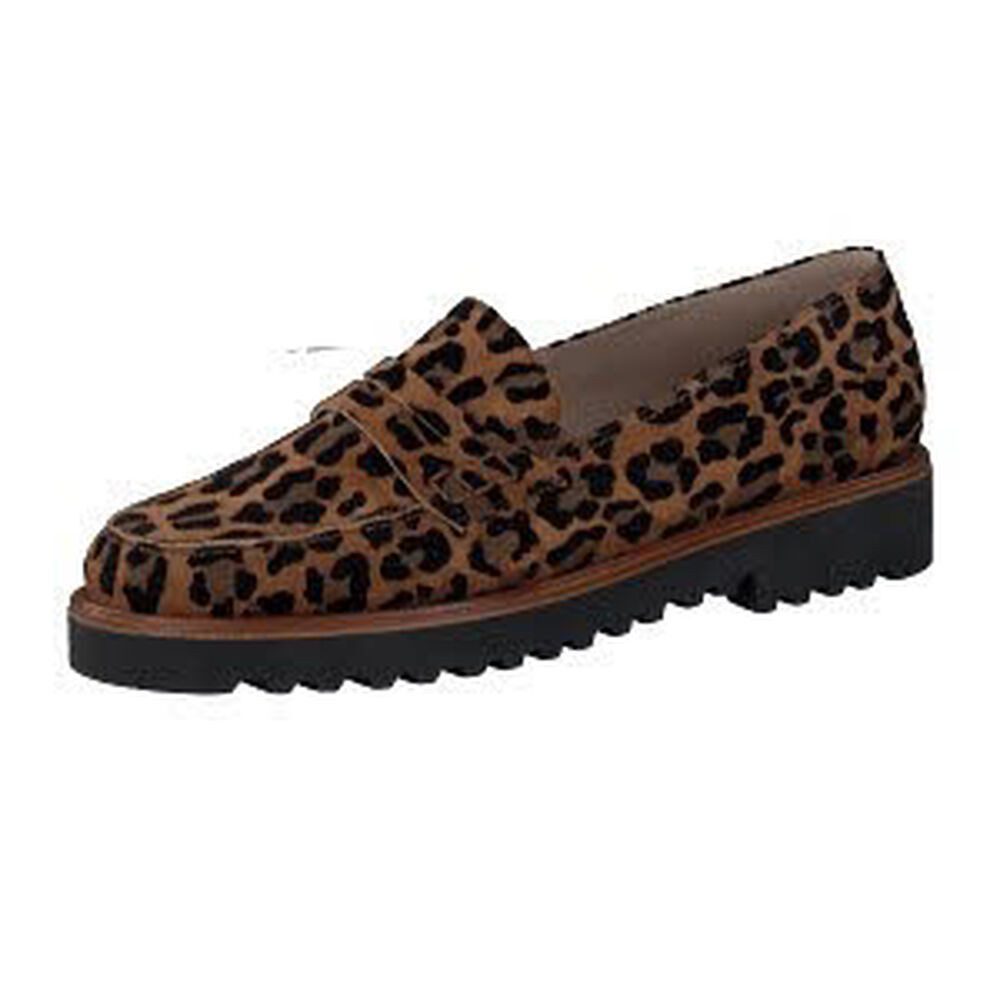 Leopard