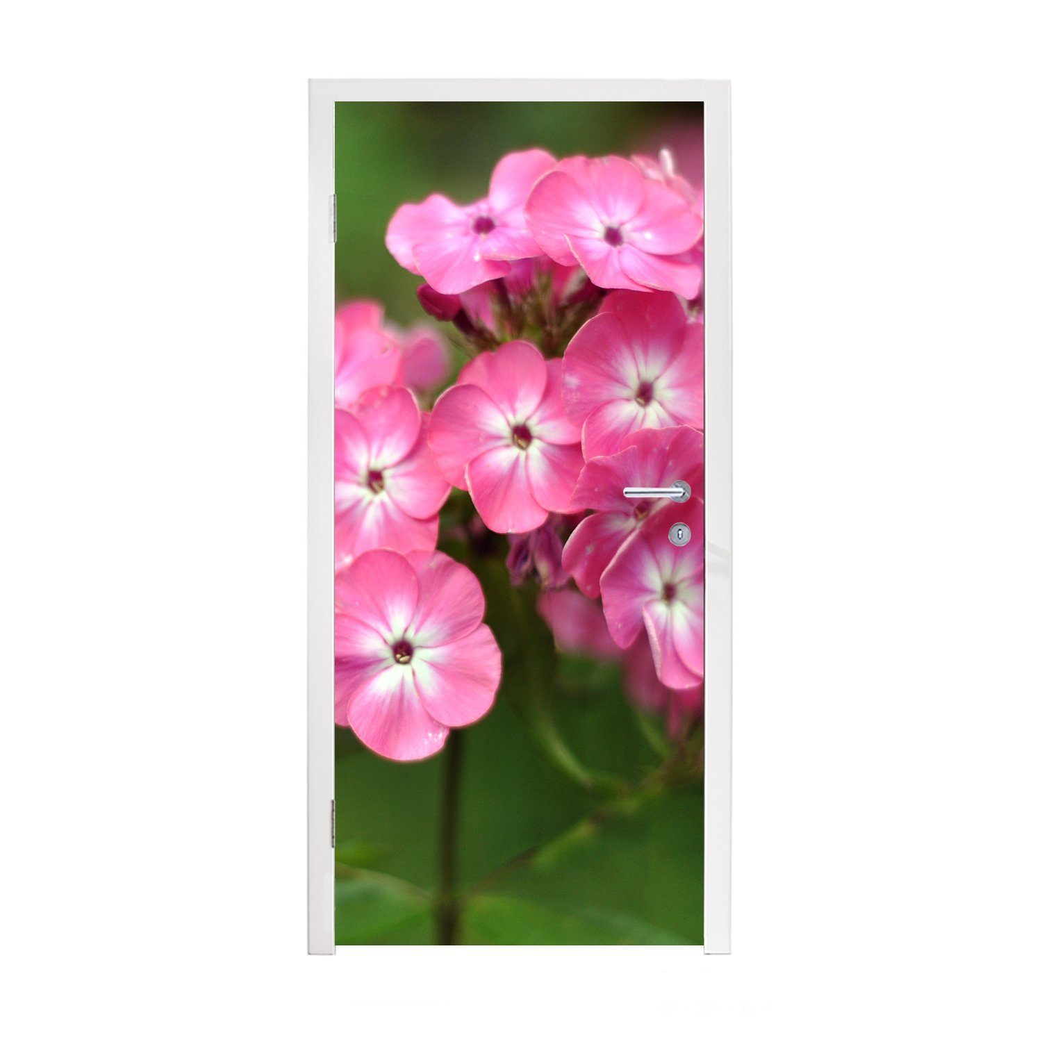 Türaufkleber, Türtapete grünem St), Fototapete Schmetterlinge Hintergrund, Tür, mit 75x205 MuchoWow Rosa (1 bedruckt, cm Matt, für