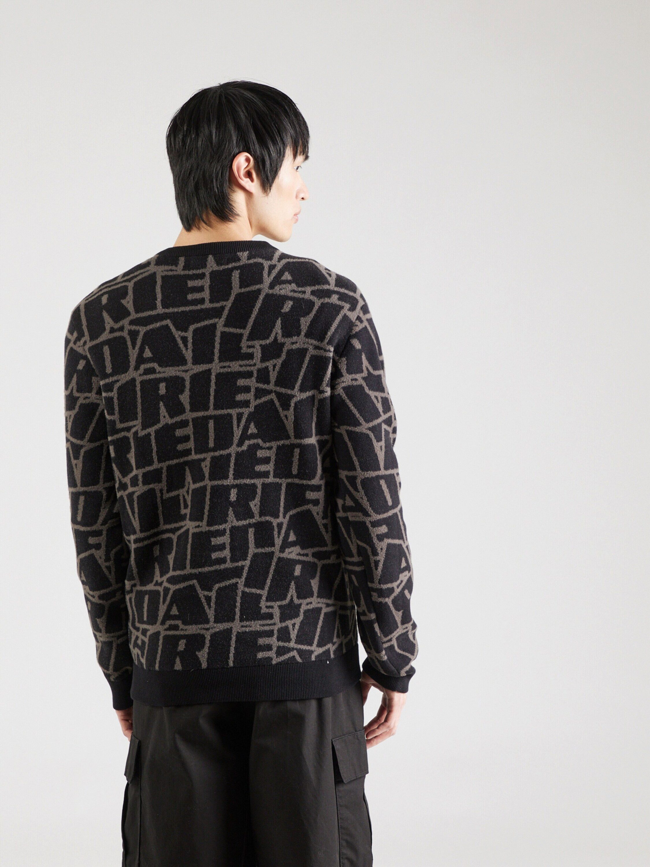 iriedaily Rundhalspullover Switchup (1-tlg)