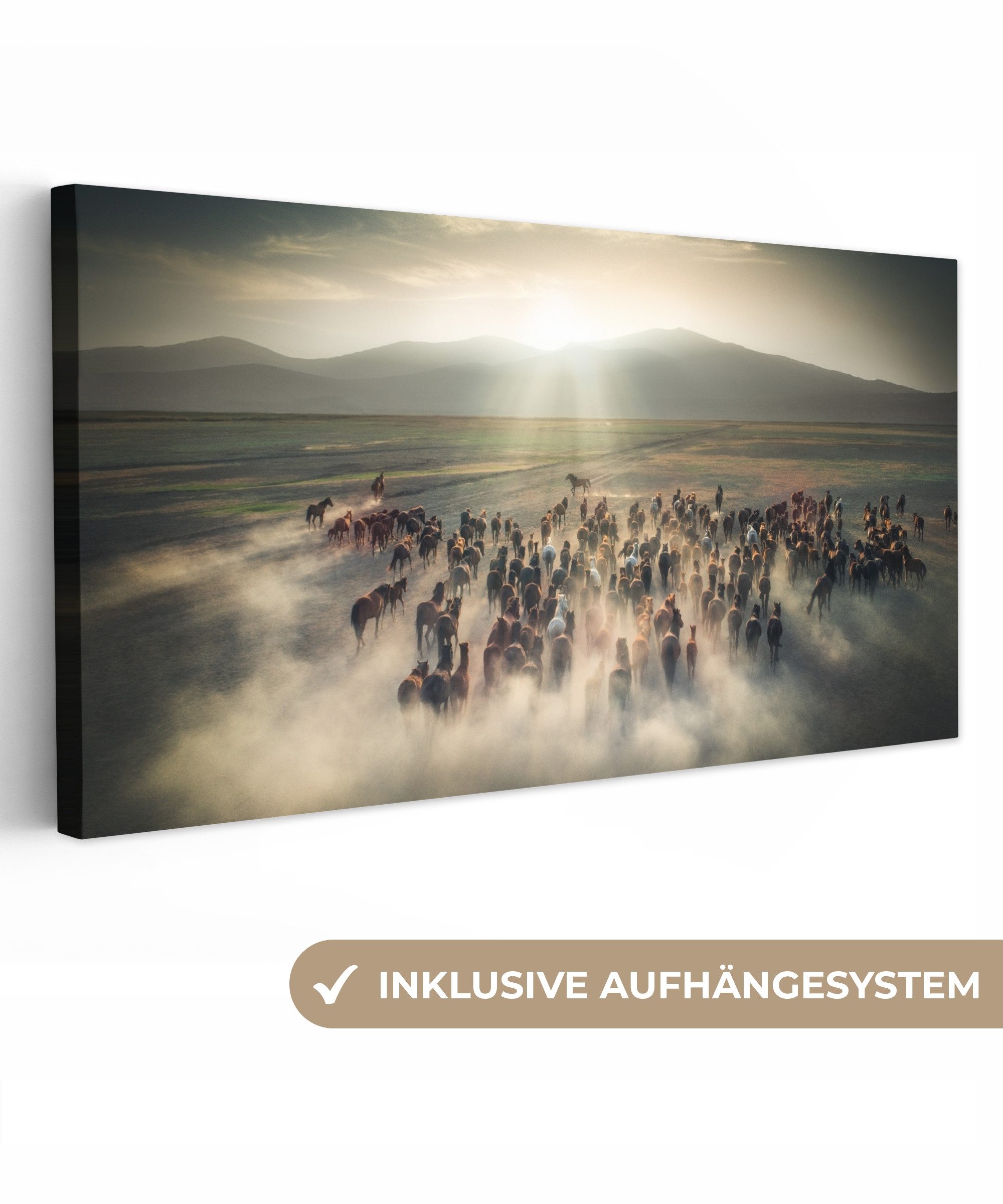 OneMillionCanvasses® Leinwandbild Panorama Pferde - Natur günstig online kaufen