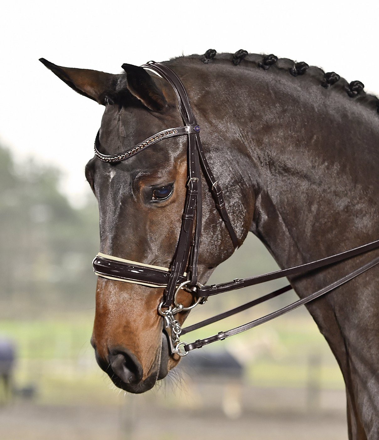 Kandarenzaum Busse Kandare LUXURY