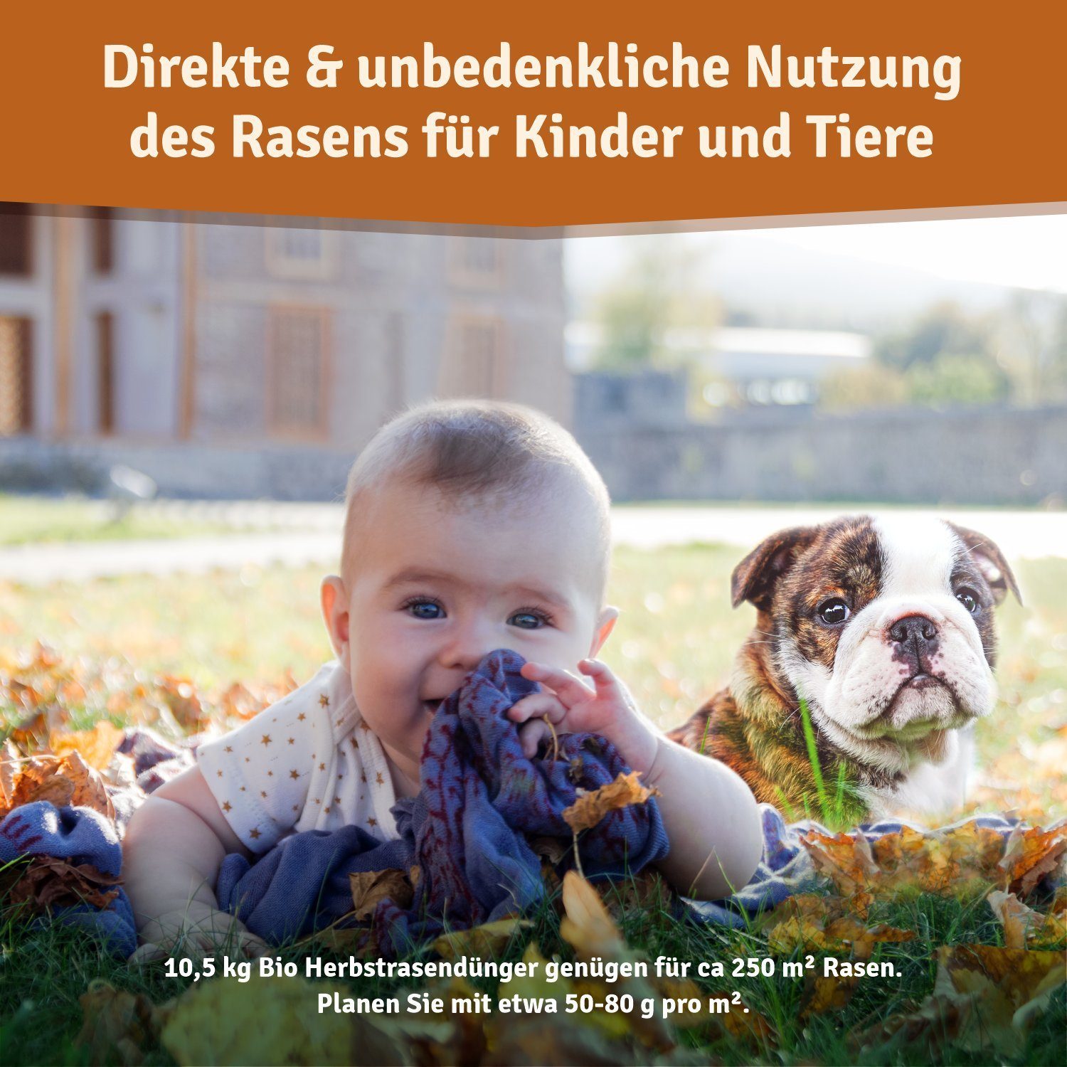 Veddelholzer Rasendünger Bio Herbstrasendünger Langzeit-Wirkung, Kalium, frostbeständigen Rasen, Rasendünger Herbst Langzeitdünger für frostbeständigen Rasen, B – Bild 4 von 5