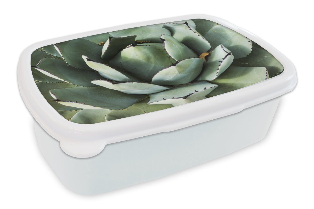 MuchoWow Lunchbox Detail eines mintgrünen Kaktus, Kunststoff, (2-tlg), Brotbox für Kinder und Erwachsene, Brotdose, für Jungs und Mädchen weiß