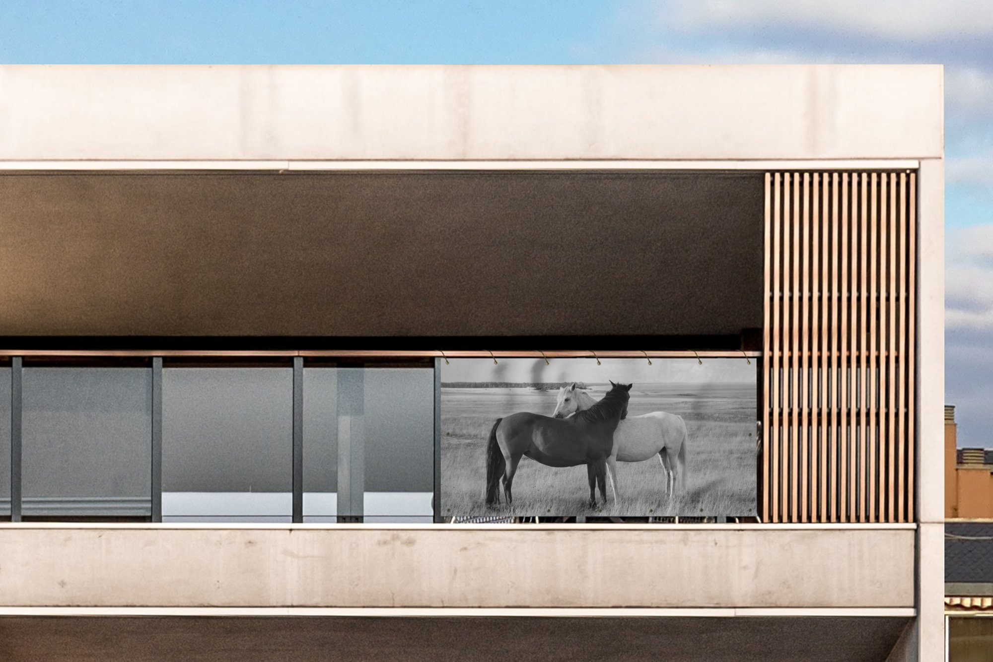 Thumbnail - MuchoWow Balkonsichtschutz Pferde - Tiere - Porträt - Schwarz-Weiß - Landleben (1-St) Balkon Sichtschutz 90x200, Windsch...