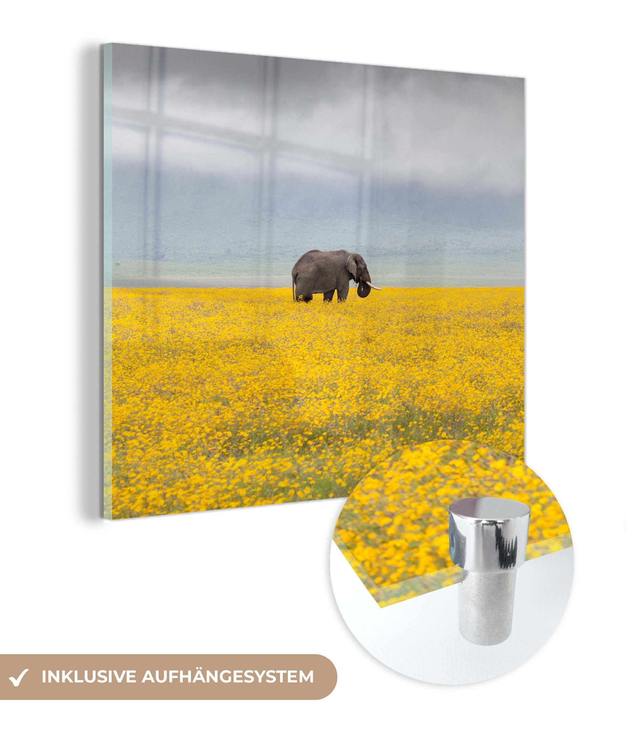 MuchoWow Bilder Glas - - - Natur Glas (1 - - Wanddekoration St), Wandbild Gelb auf Glasbilder Elefant Blumen - Tiere, - Acrylglasbild auf Foto