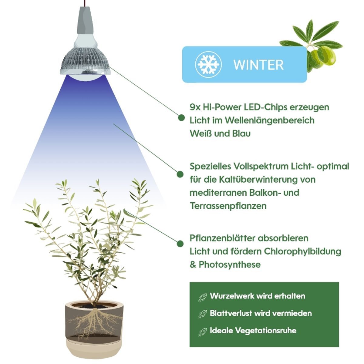 PARUS Pflanzenlampe Winter, Leuchtmittel für Pflanzen, blau, Parus by Venso GrowLight Winter E27 LED Pflanzenlampe 18W 140°, Venso