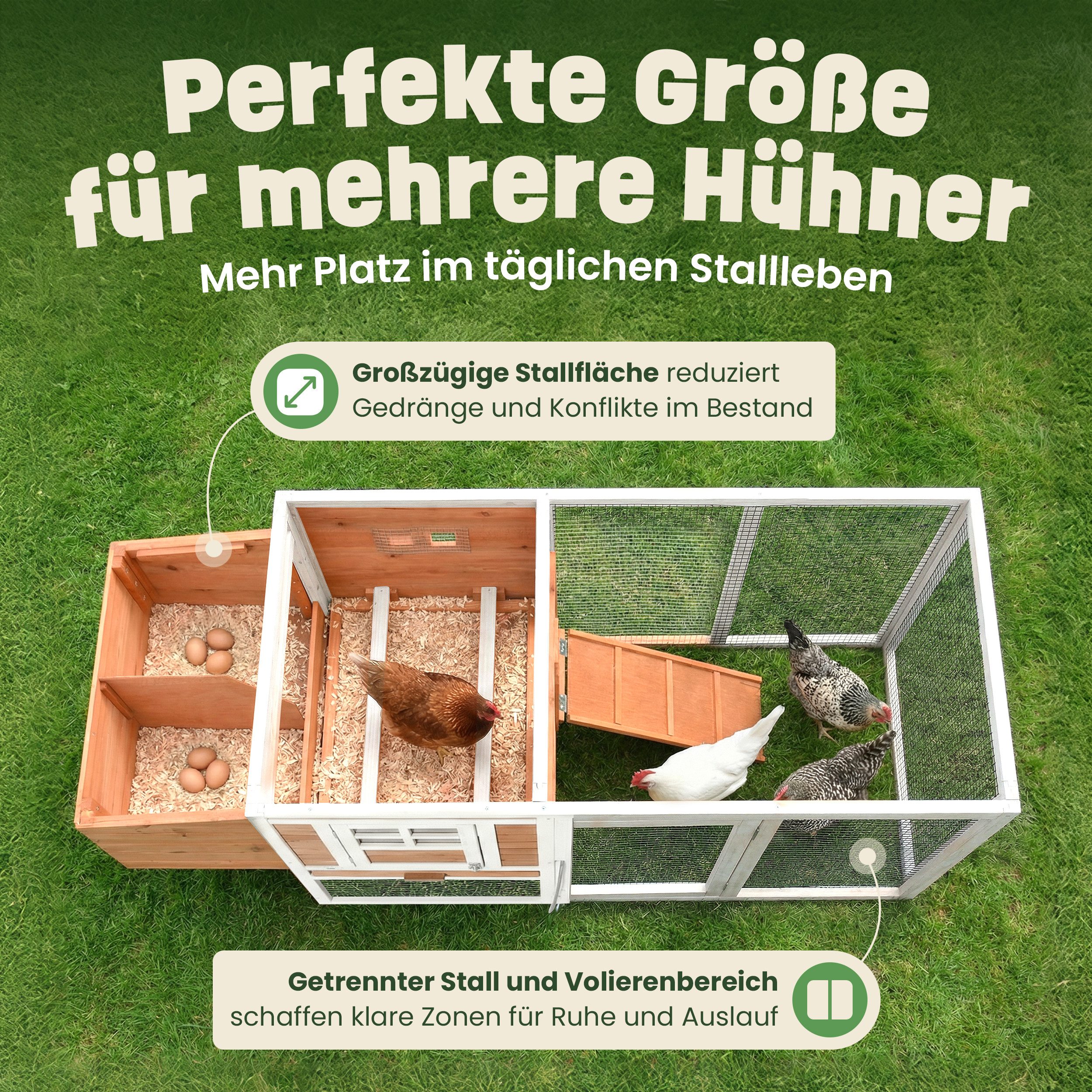 Zooprinz Hühnerstall Hühnervoliere Hühnerhaus Ida mit Klappdach Nistkasten, Wetterfest, Sitzstangen, mit Freilauf XXL