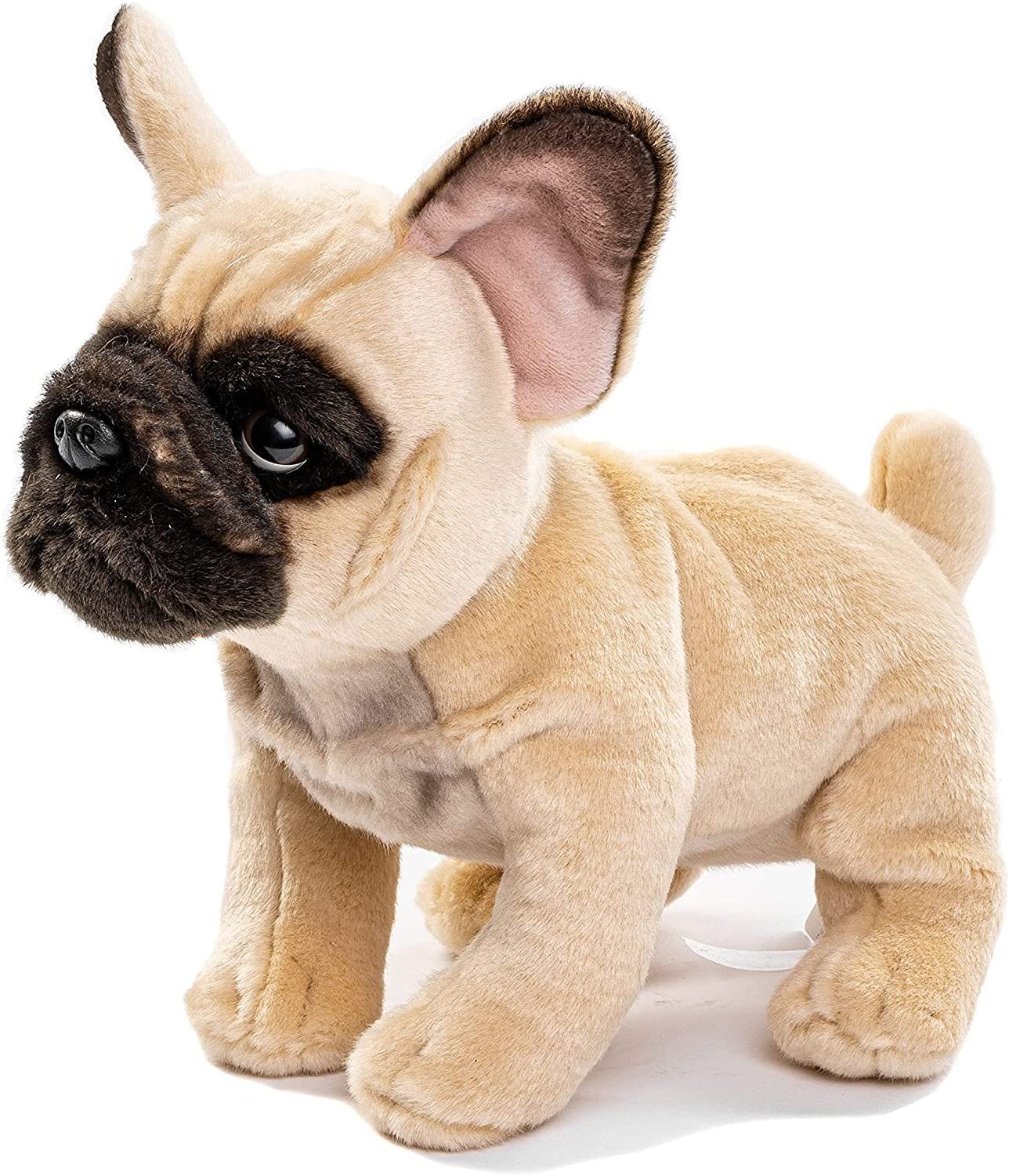 zu m/o Plüsch-Hund, Plüschtier, % Uni-Toys 27cm, recyceltes Bulldogge Kuscheltier beige, Leine, Französische 100 Füllmaterial