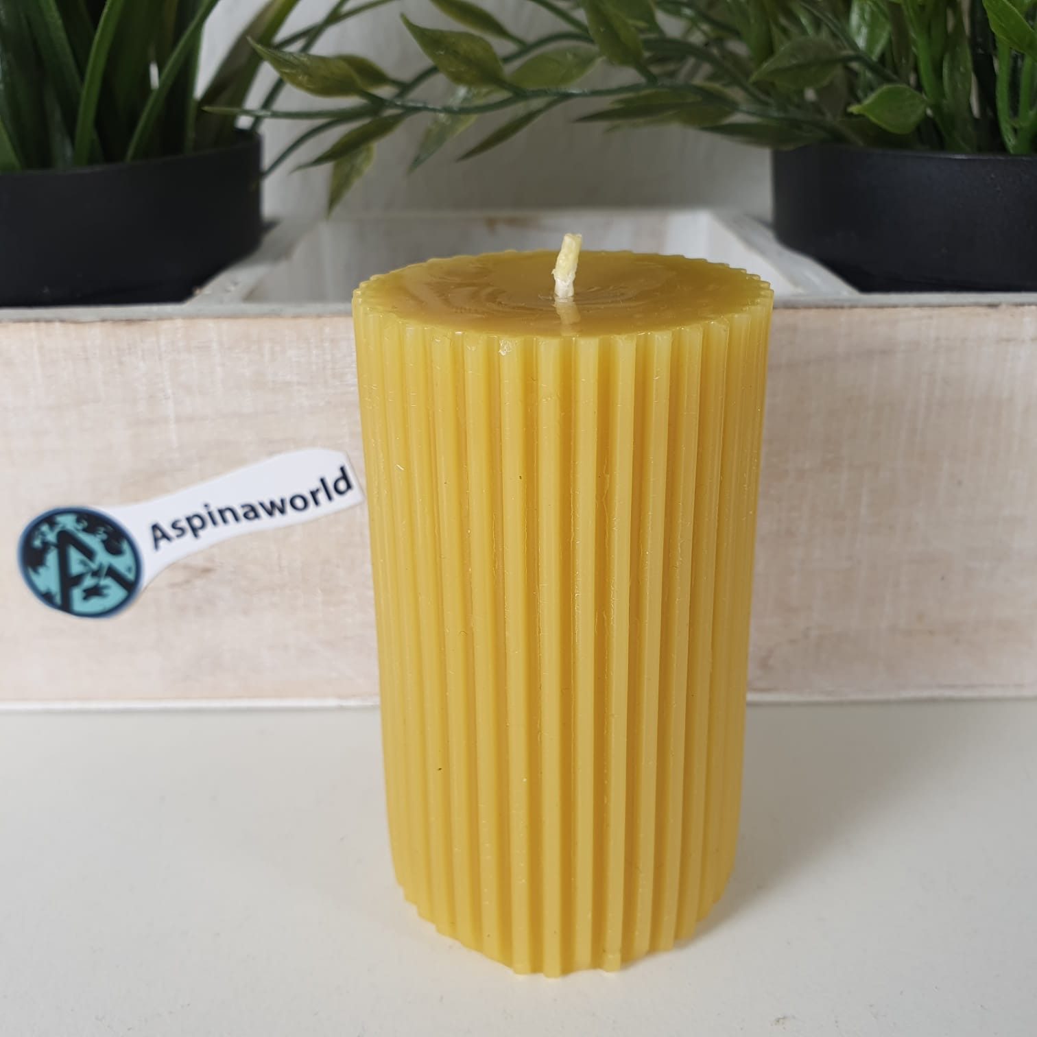 Aspinaworld Stumpenkerze Bienenwachskerze - Stumpenkerze mit günstig online kaufen