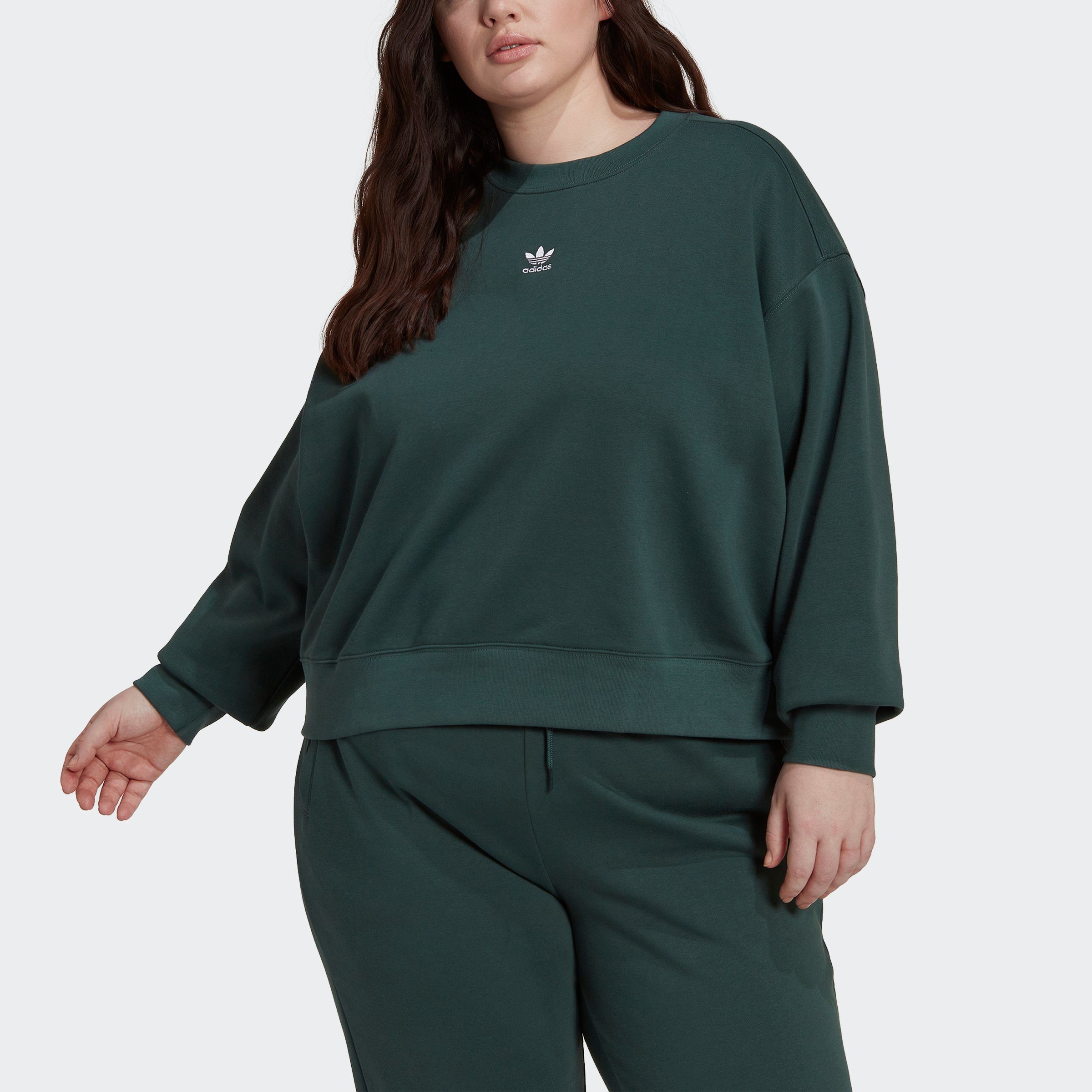 adidas Originals Sweatshirt ADICOLOR GROSSE – grün GRÖSSEN ESSENTIALS