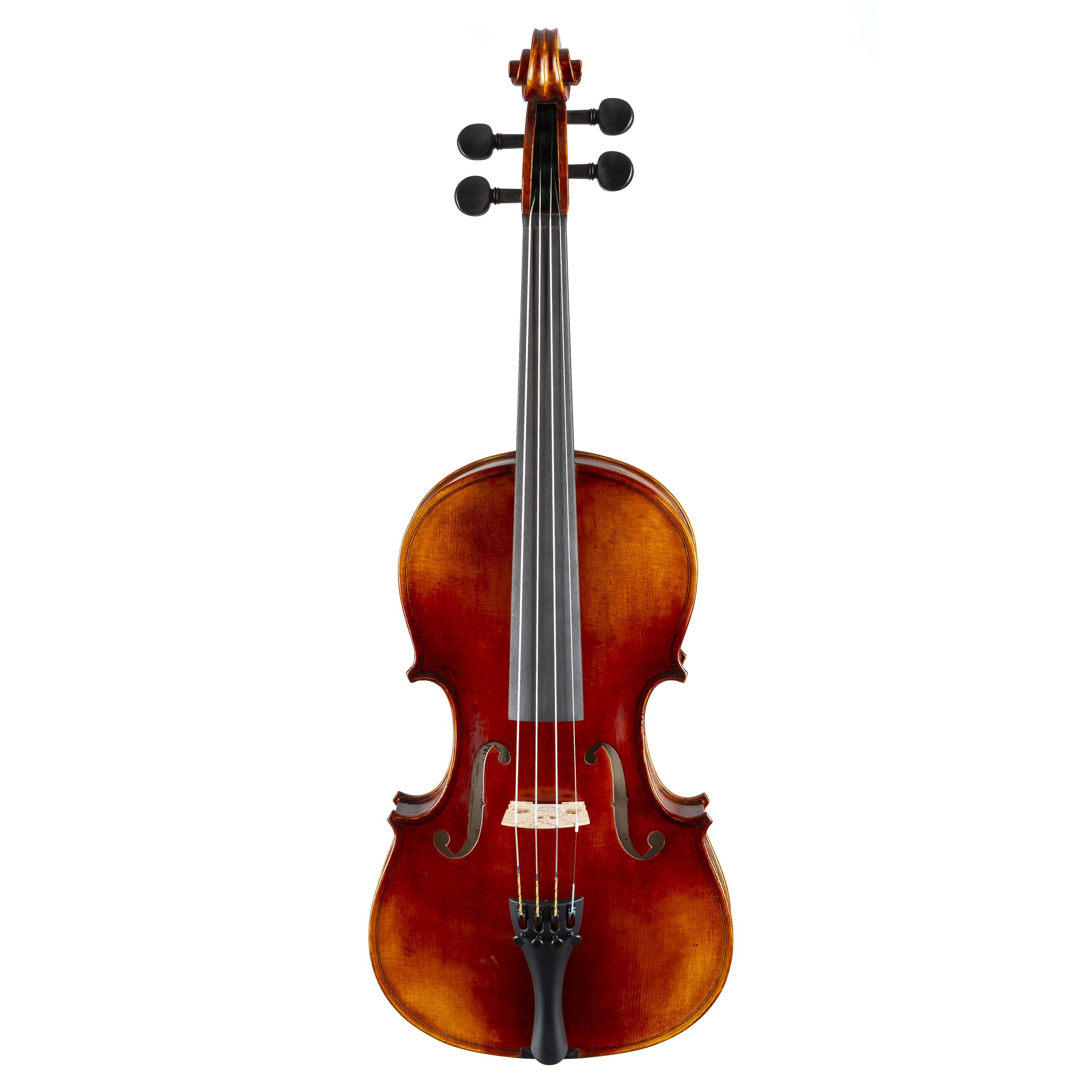 Violine