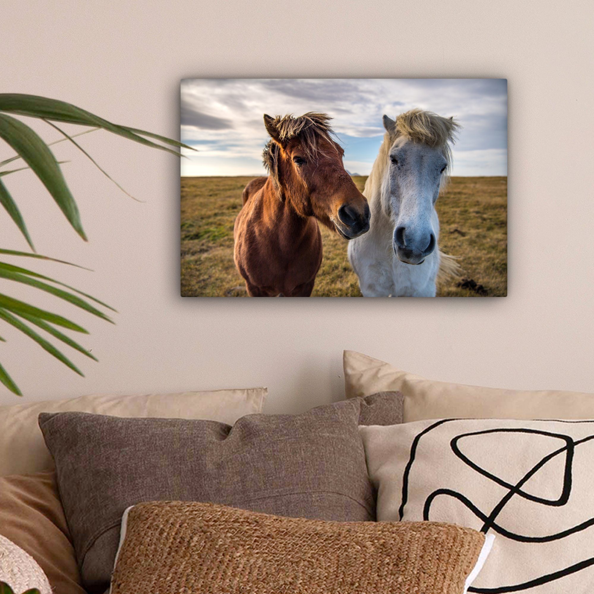 Leinwandbilder, Isländische Wandbild Ponys einer St), Wanddeko, (1 Leinwandbild Aufhängefertig, auf OneMillionCanvasses® 30x20 cm Wiese,