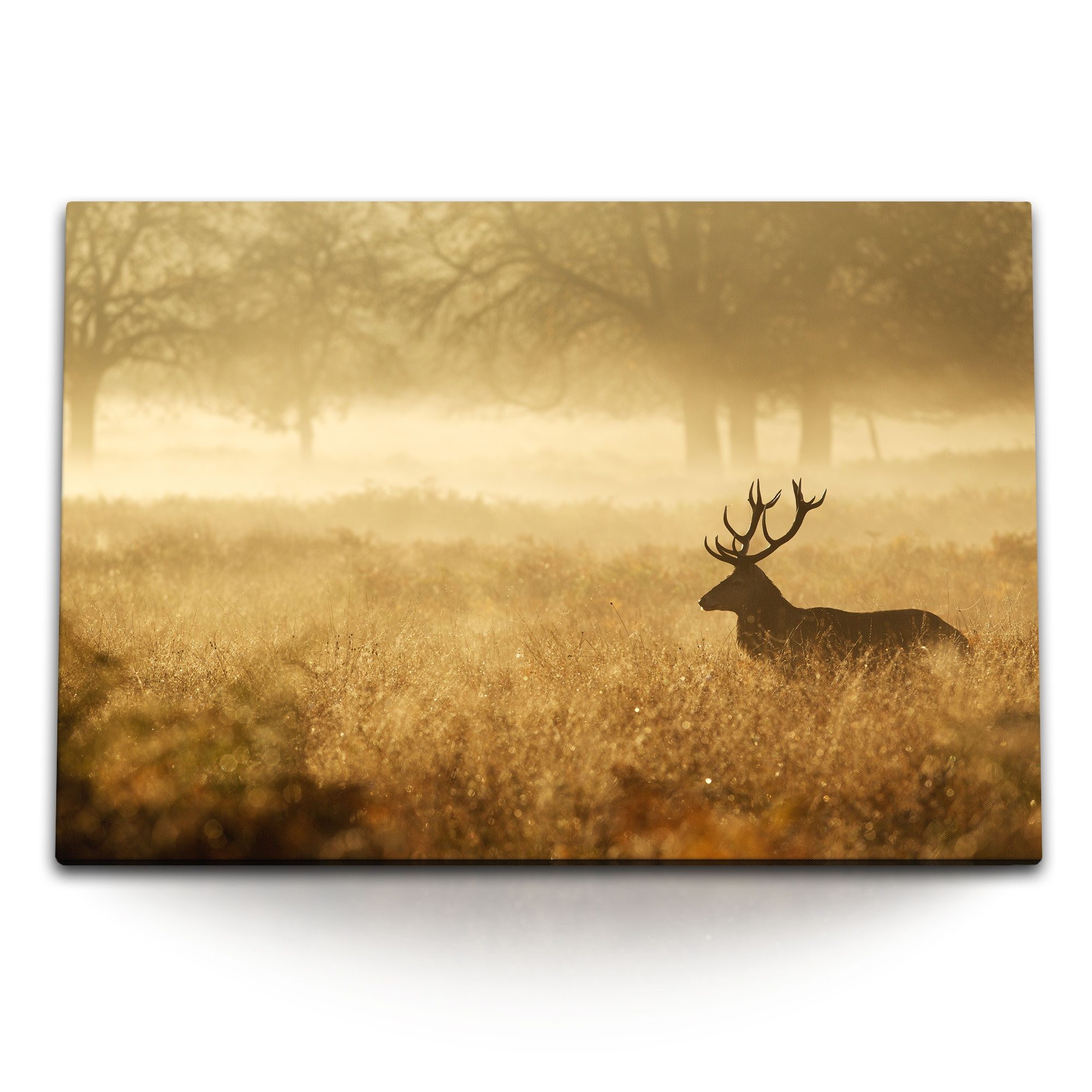 Leinwandbild 120x80cm Wandbild auf Leinwand Hirsch Grasland Natur Waldrand Morgenta