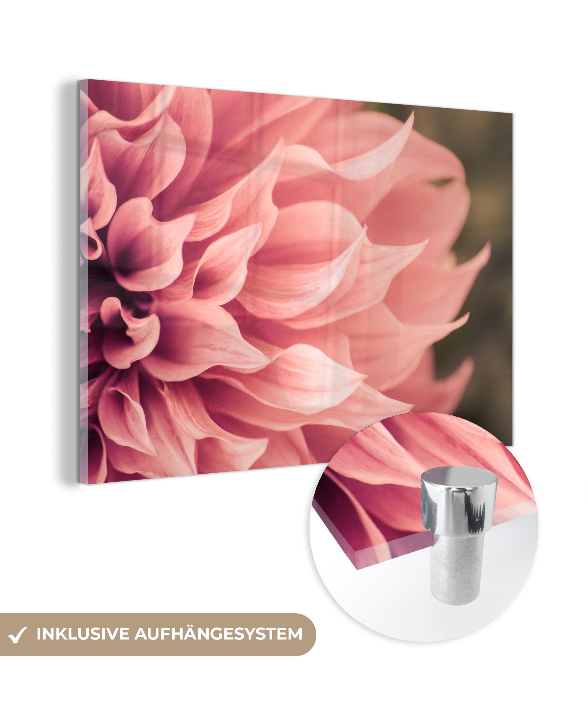 MuchoWow Acrylglasbild Nahaufnahme abstrakte rosa Blume, (1 St), Acrylglasbilder Wohnzimmer & Schlafzimmer