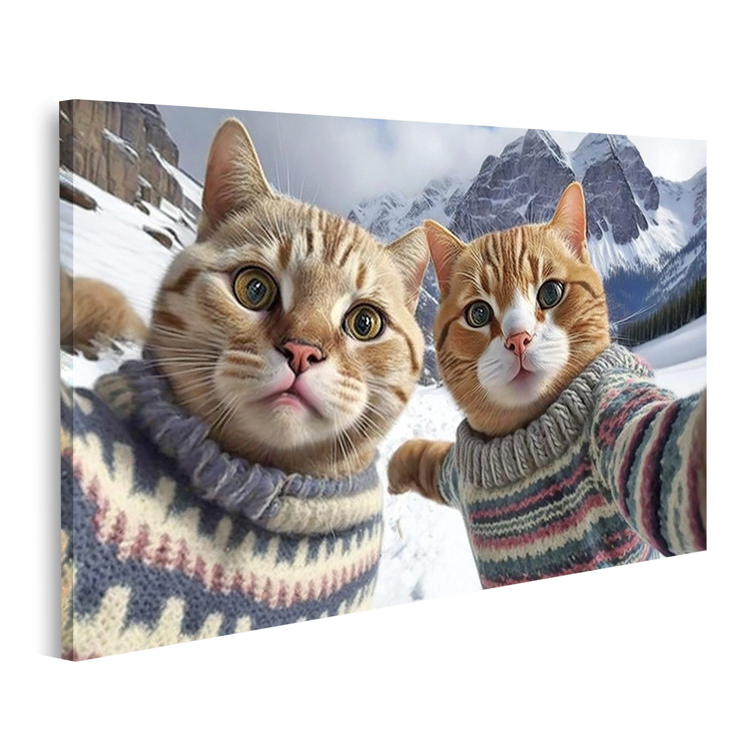 islandburner Leinwandbild Katzen in Pullovern machen Selfie lustige Haustiere Urlaub B Bilder