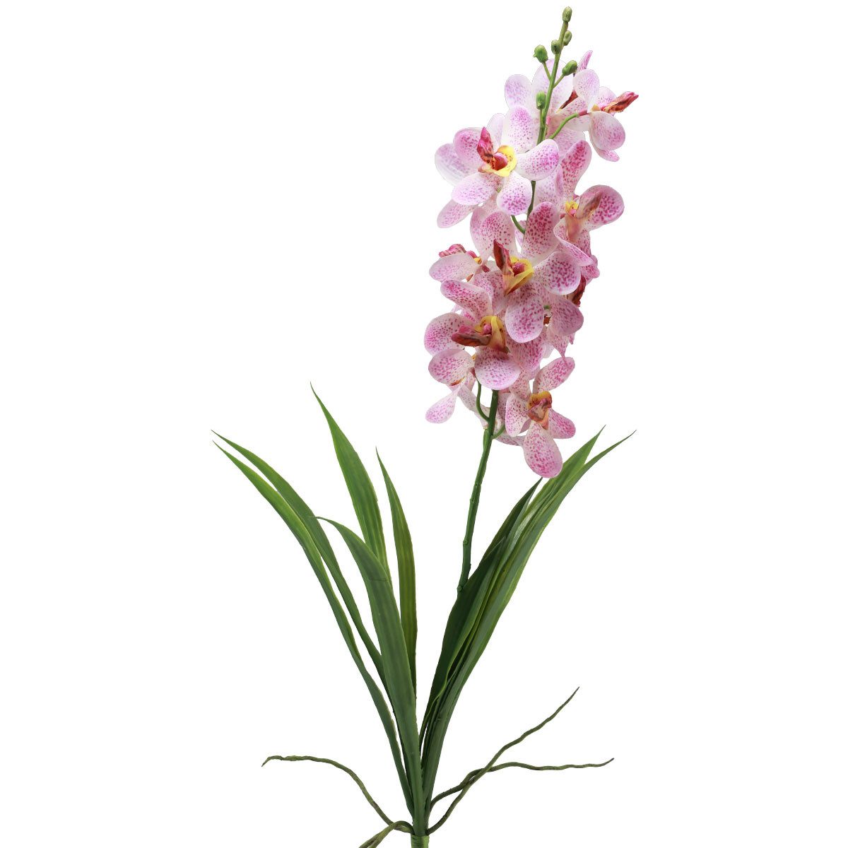 Kunstorchidee Künstliche Orchidee Pink Weiß Real-Touch günstig online kaufen