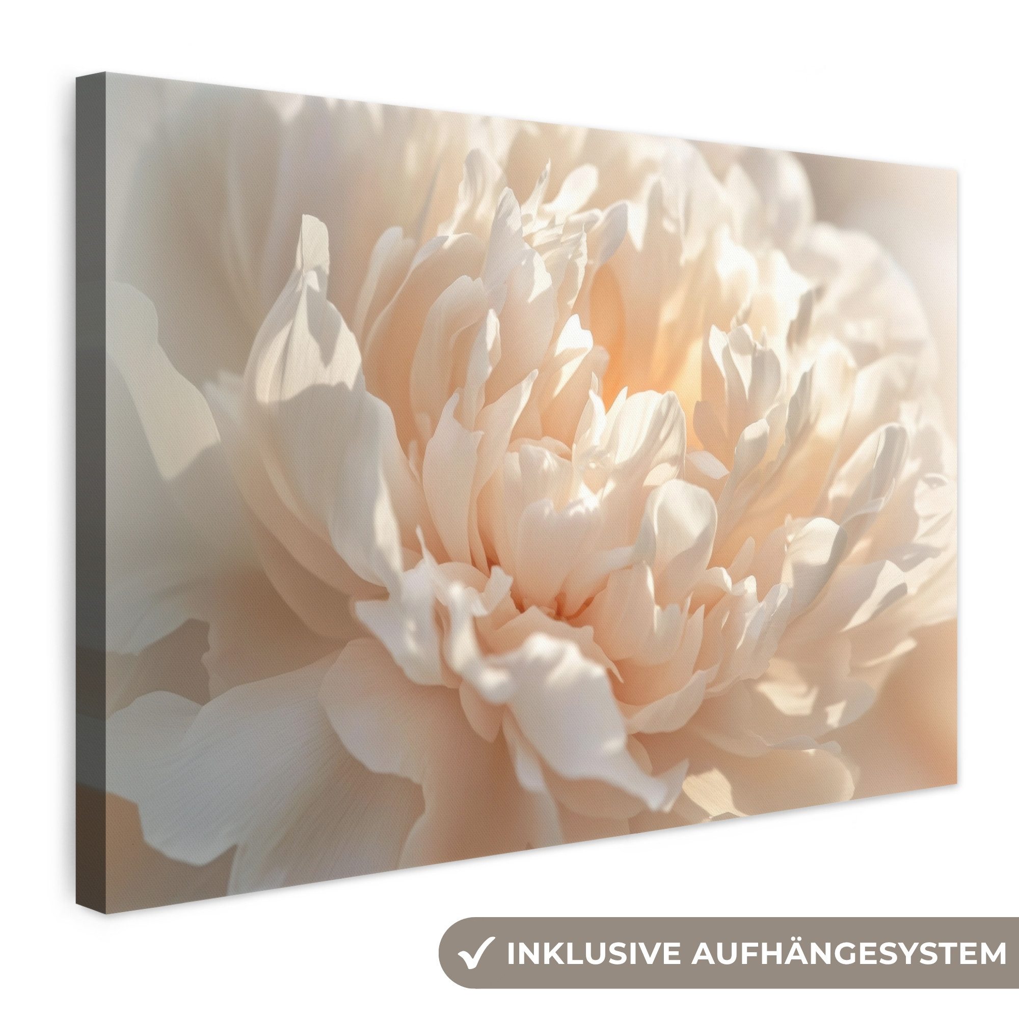OneMillionCanvasses® Leinwandbild Nahaufnahme - Pfingstrose - Hellrosa, Fotodruck (1 St), Leinwand Bilder Klein, Wand Dekoration Aesthetic 30x20 cm