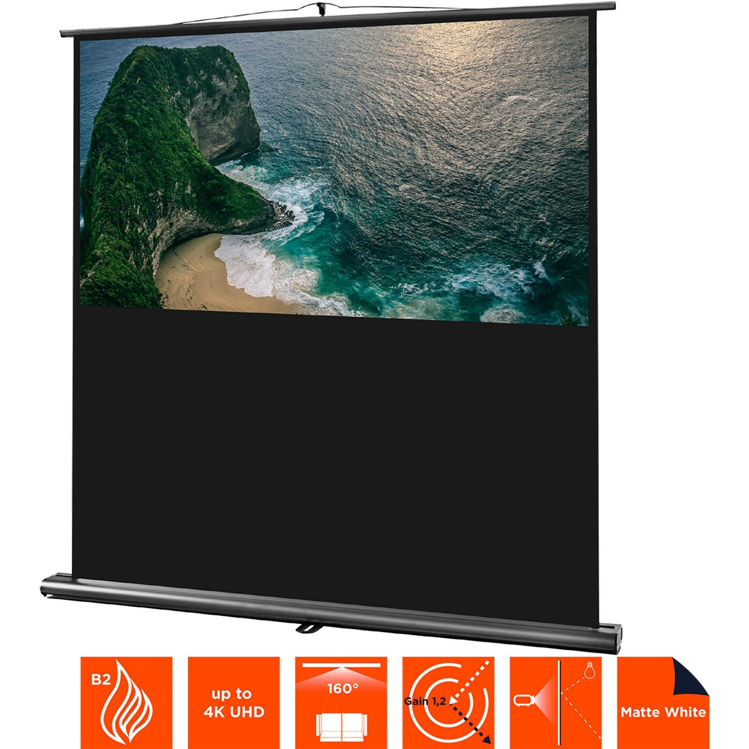 Celexon Professional Pull-Up-Leinwand (schwarze Rückseite)