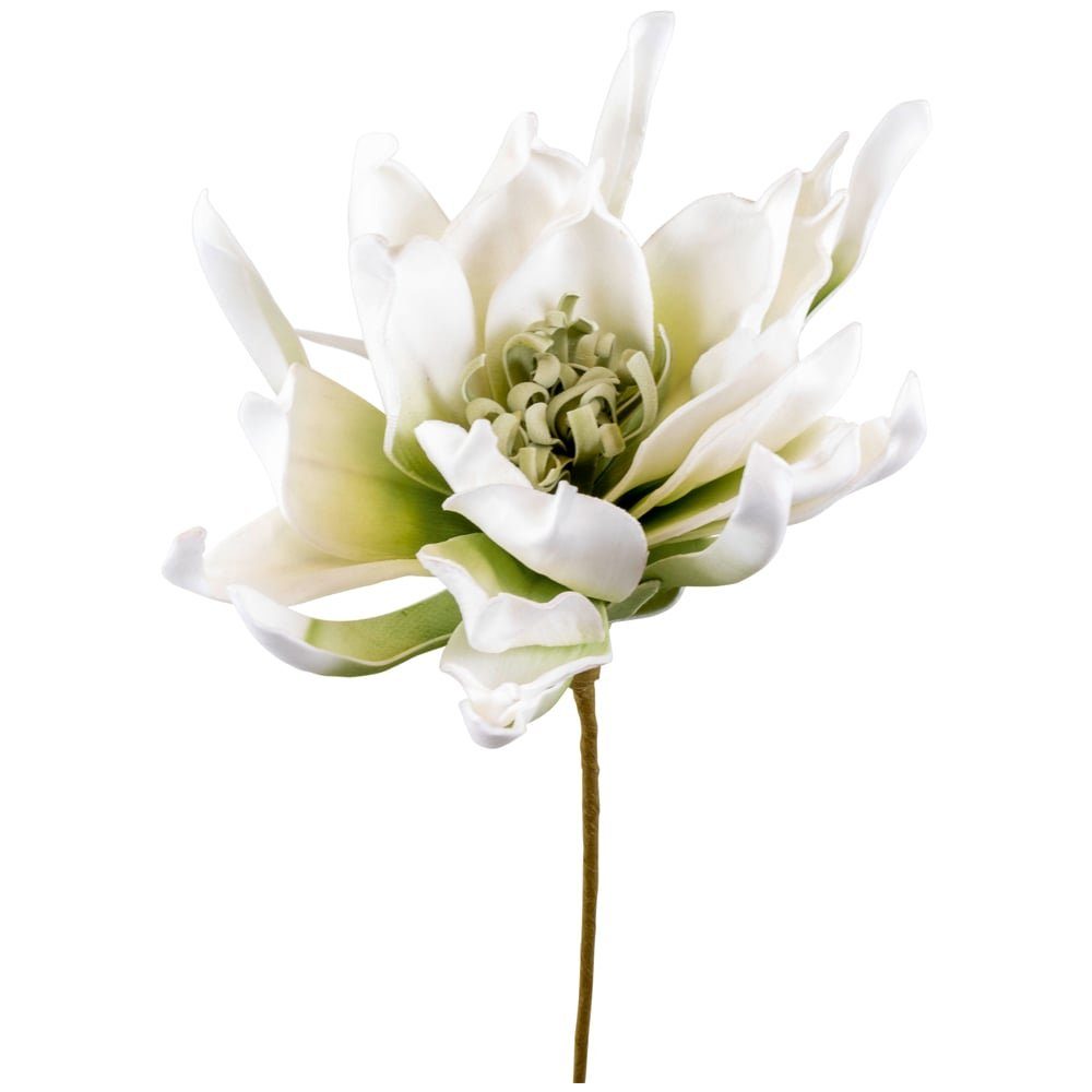 Weiß & 60 Deko Kunstblume Kunstblumen Höhe cm 20x60 HOBBY, Pflanzen Lotus creme matches21 HOME Ø Lotus,