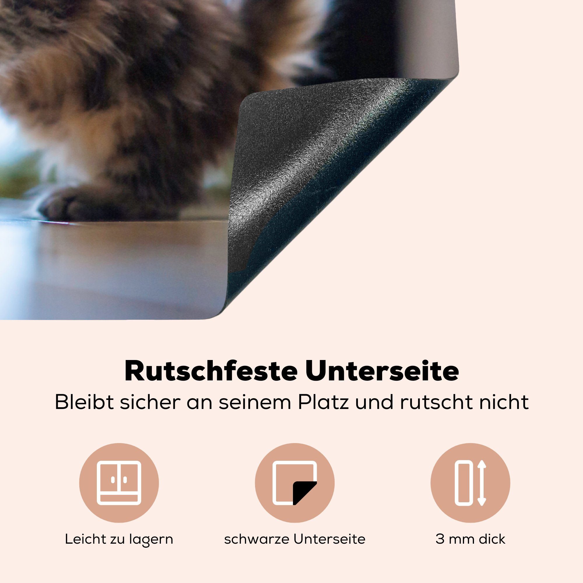 MuchoWow Herdblende-/Abdeckplatte Kätzchen küche, Vinyl, tlg), mit die (1 Induktionskochfeld Katzenspielzeug, cm, für Ceranfeldabdeckung 81x52 Schutz