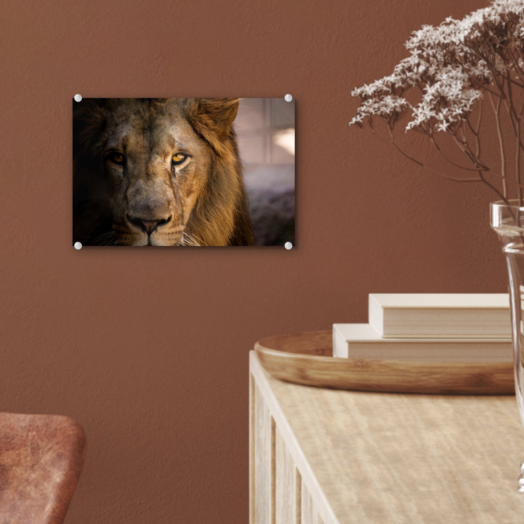 Bilder Glas Profil MuchoWow auf Löwen auf (1 Wandbild - St), Glas Acrylglasbild Wanddekoration Farben, - - - - Glasbilder Foto