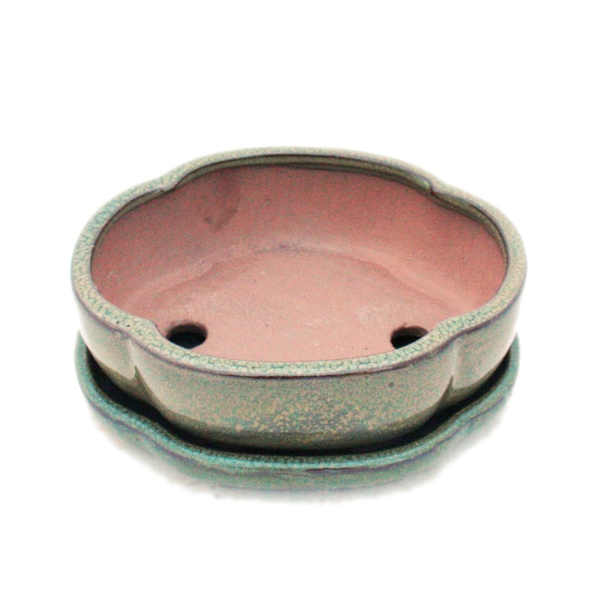 Exotenherz Pflanzschale Bonsai-Schale Unterteller Gr. 3 Oliv-Braun haitang/ günstig online kaufen