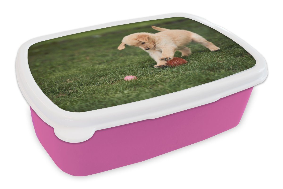 MuchoWow Lunchbox Welpe spielt mit Ball, Kunststoff, (2-tlg), Brotbox für Erwachsene, Brotdose Kinder, Snackbox, Mädchen, Kunststoff rosa