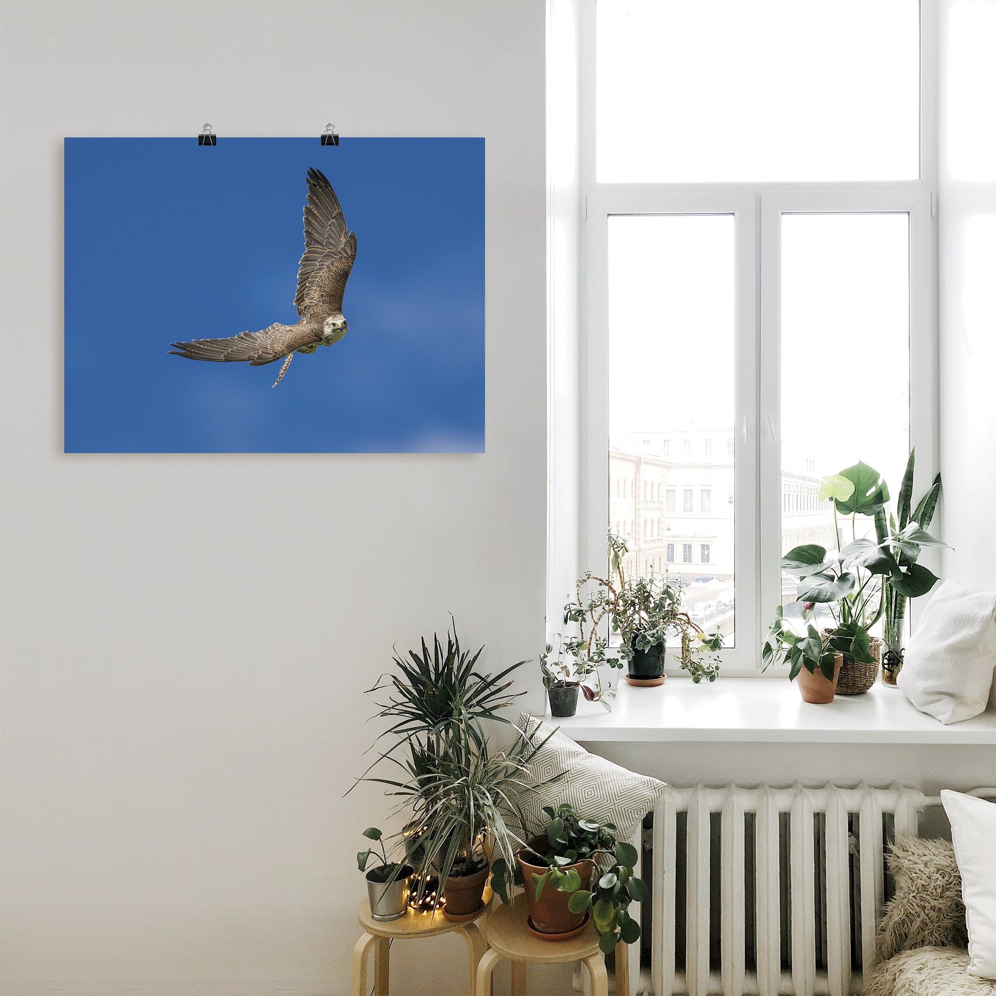 Falke, Vögel oder Leinwandbild, als Artland (1 Poster St), Größen Wandbild Der in Wandaufkleber versch.