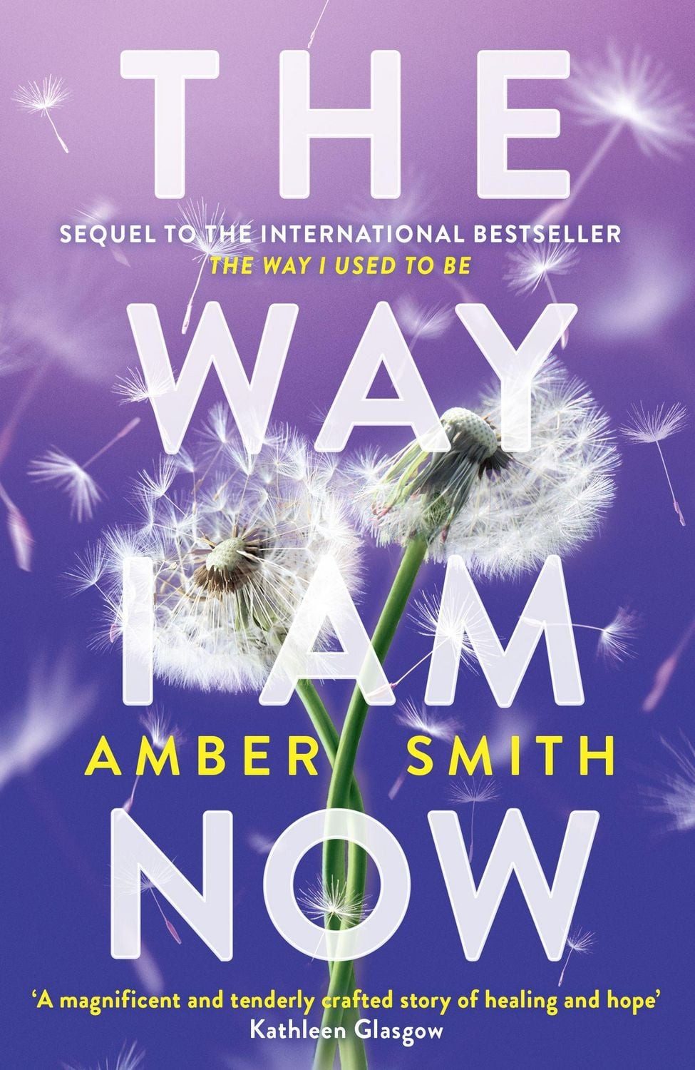 The Way I Am Now / Amber Smith
