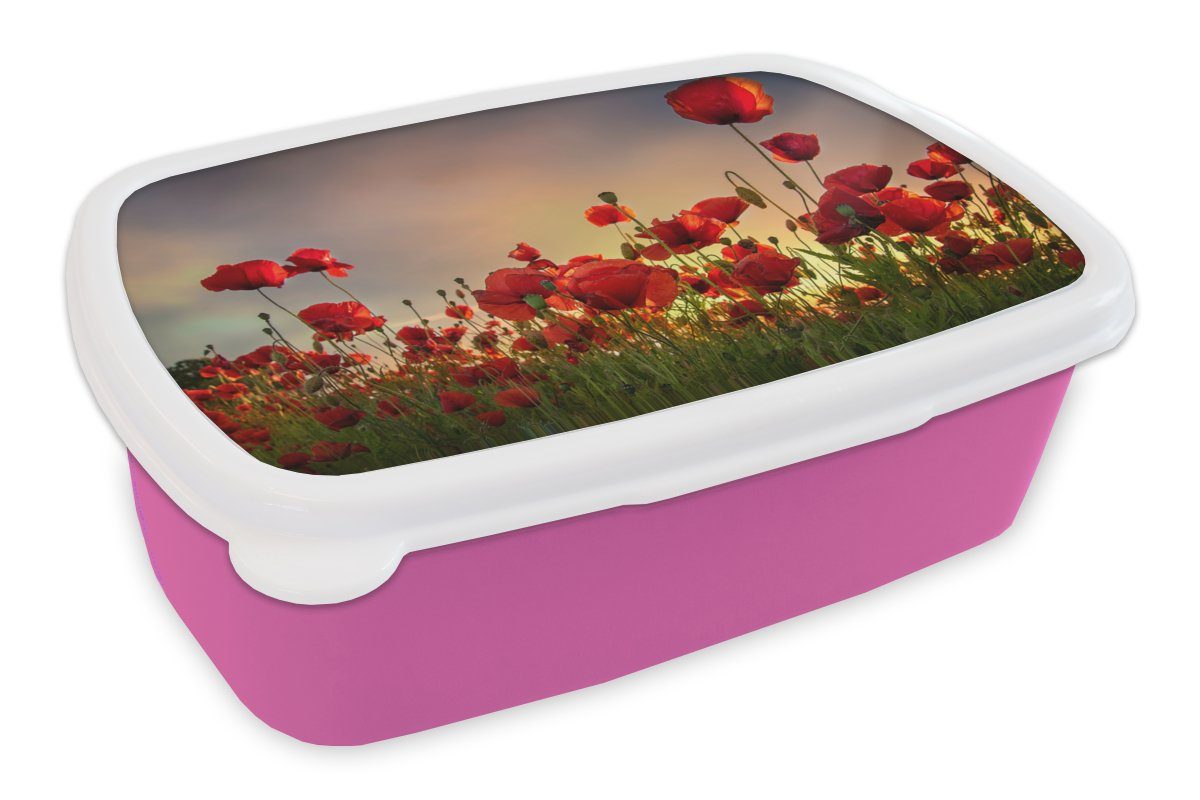 MuchoWow Lunchbox Bunter Himmel über einem Mohnblumenfeld in Dänemark, Kunststoff, (2-tlg), Brotbox für Erwachsene, Brotdose Kinder, Snackbox, Mädchen, Kunststoff rosa