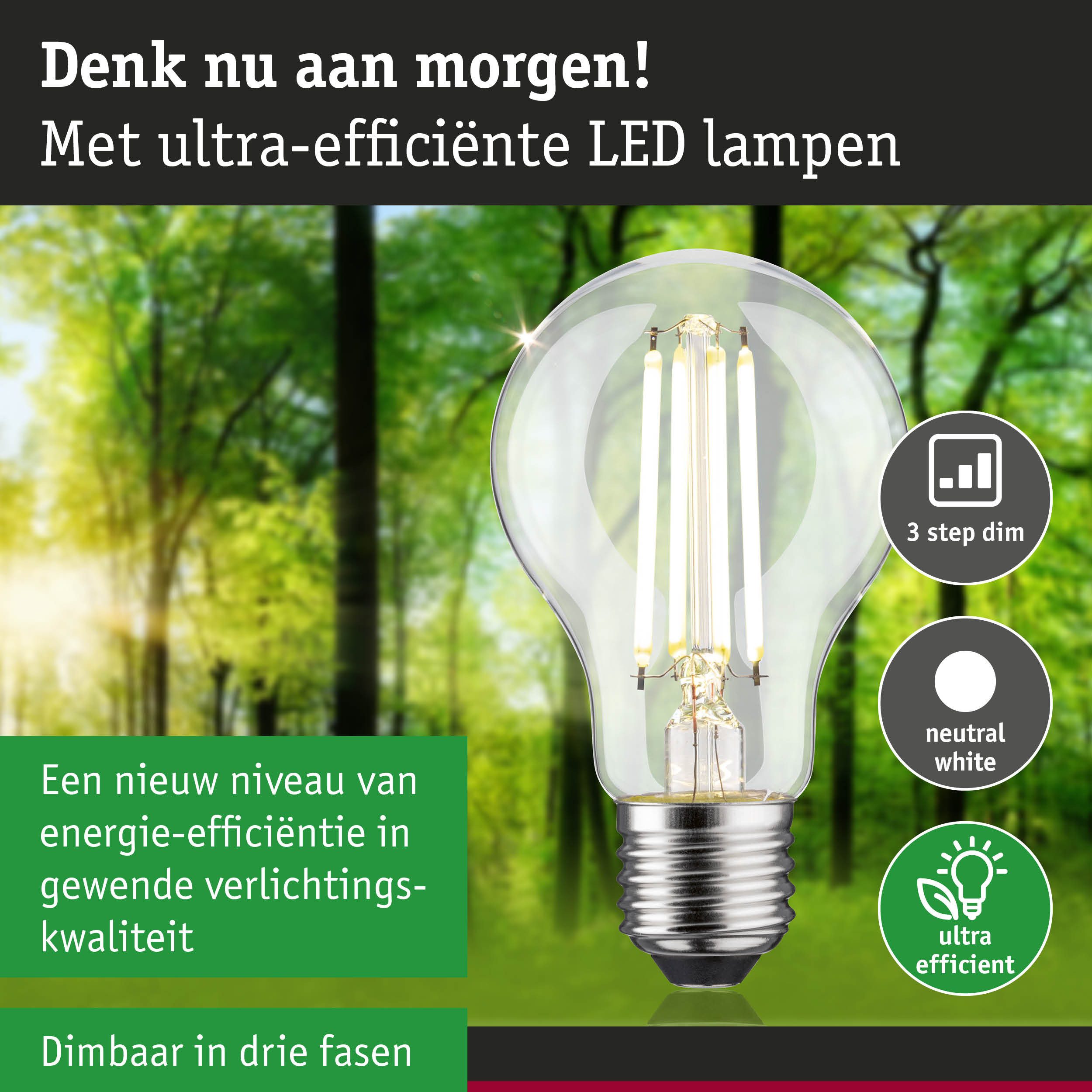 Paulmann LED-Leuchtmittel Eco-Line Filament 230V LED Birne E27 806lm 4,3W 4000K dimmbar Klar, E27, 1 St., Neutralweiß