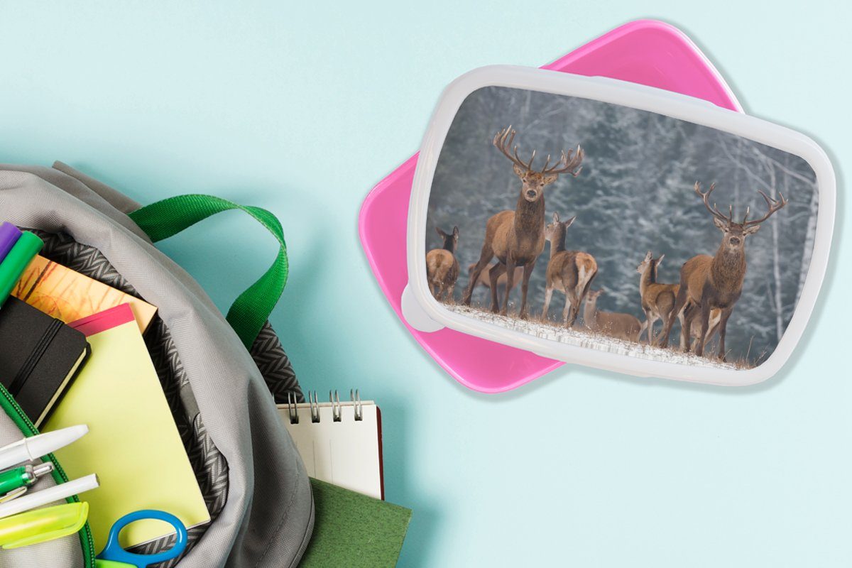 - Winter Kunststoff, für rosa Snackbox, Wald MuchoWow - Hirsche Waldtiere (2-tlg), Kunststoff - Schnee Brotbox Erwachsene, Natur, Mädchen, Brotdose Kinder, - Lunchbox -