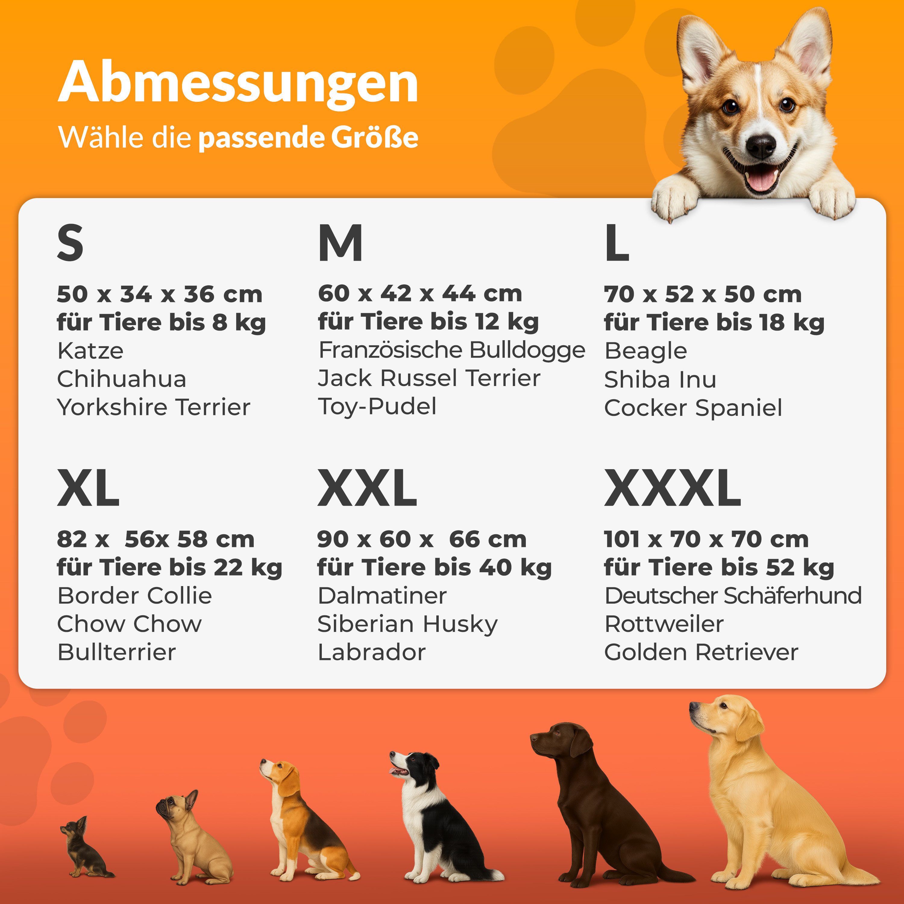 Cadoca Tiertransportbox, faltbar S 50x34x36cm Hundebox Hundetransportbox Anthrazit