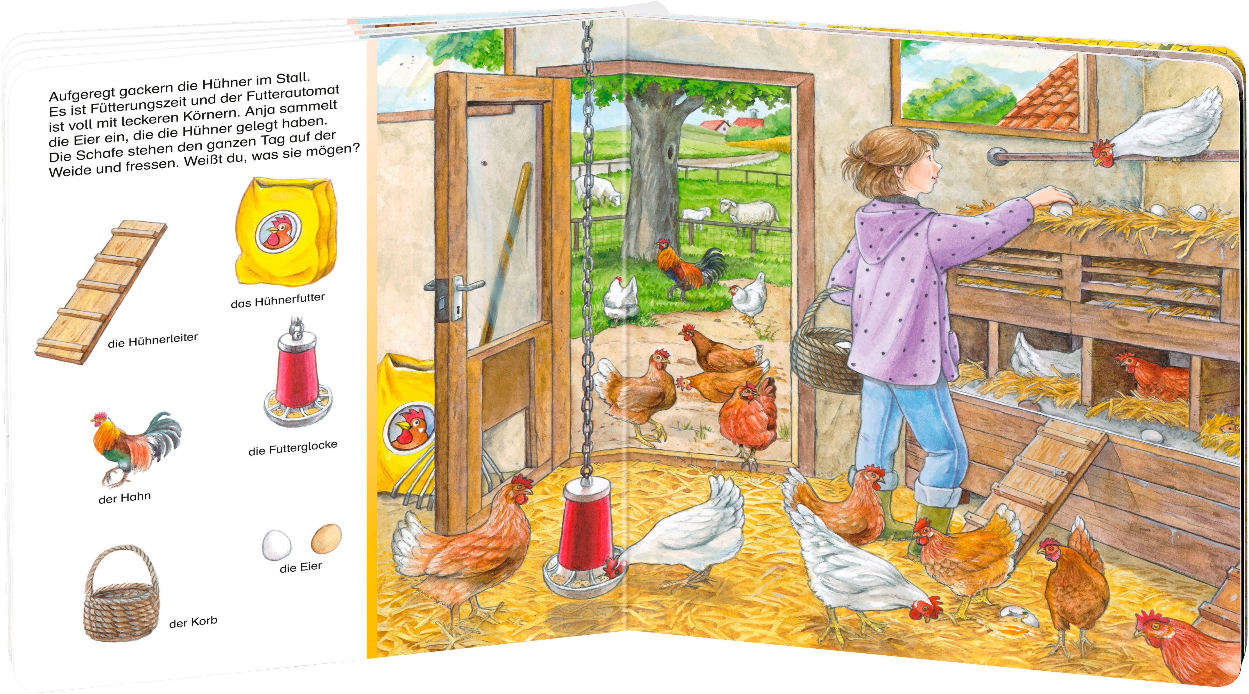 Ravensburger Kinderbuch Pappbilderbuch, Sachen suchen Auf dem Bauernhof