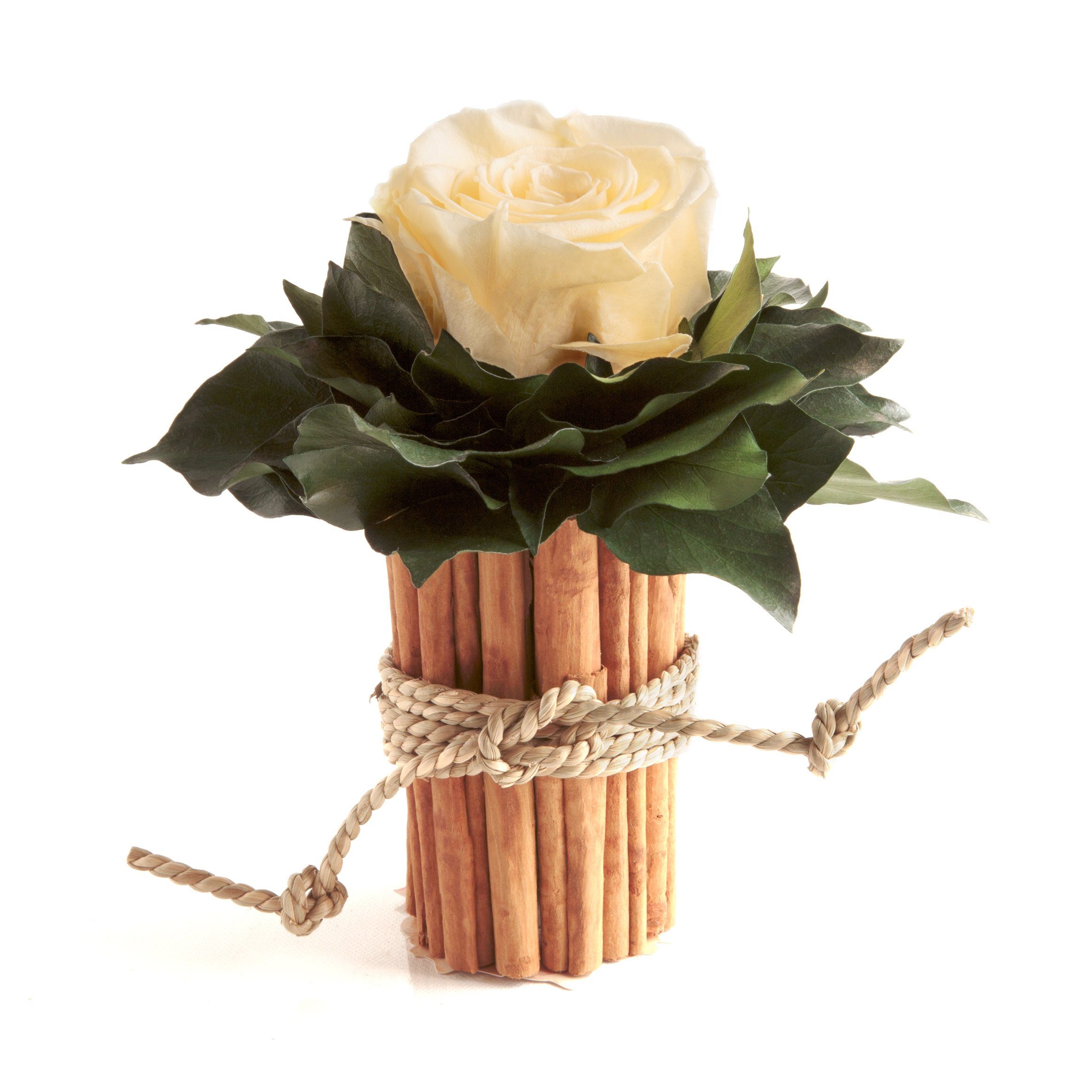 Kunstblumenstrauß Blumenstrauß Zimtbecher Infinity Rosen Kunstpflanze, günstig online kaufen