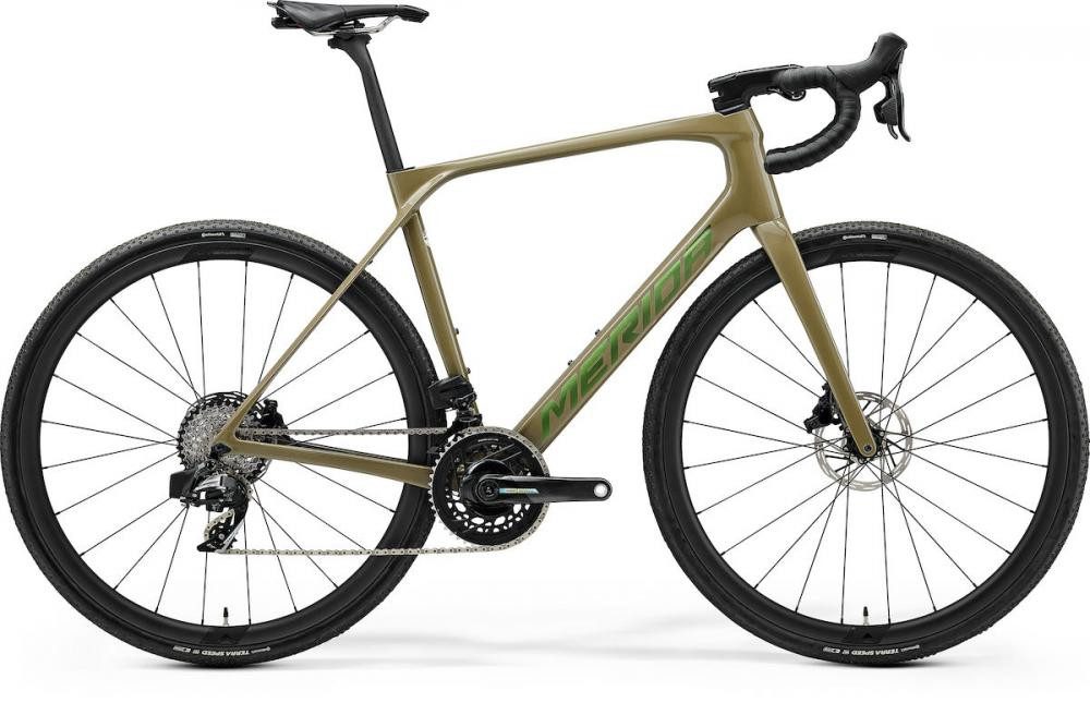 Merida Cityrad MERIDA Scultura Endurance GR 8000 II2 glossy oak bork(flip-green) (GLO