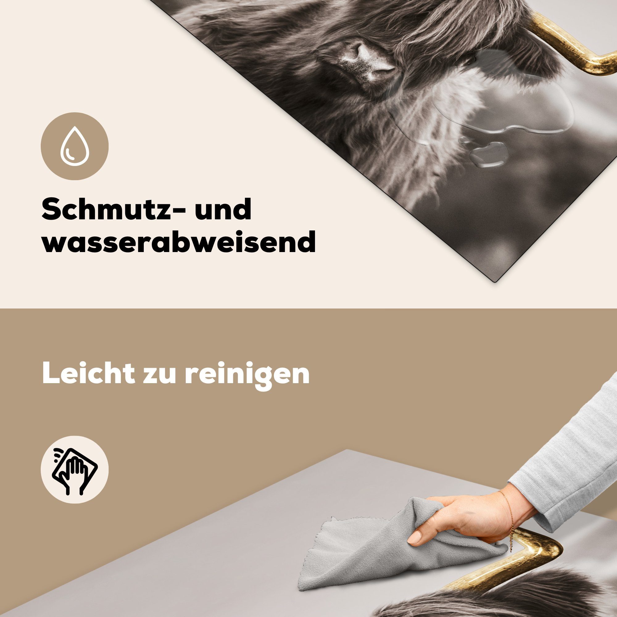 Gold Arbeitsplatte - Schottischer Highlander - cm, Hoorn, tlg), Vinyl, für Ceranfeldabdeckung, 78x78 MuchoWow (1 küche Herdblende-/Abdeckplatte