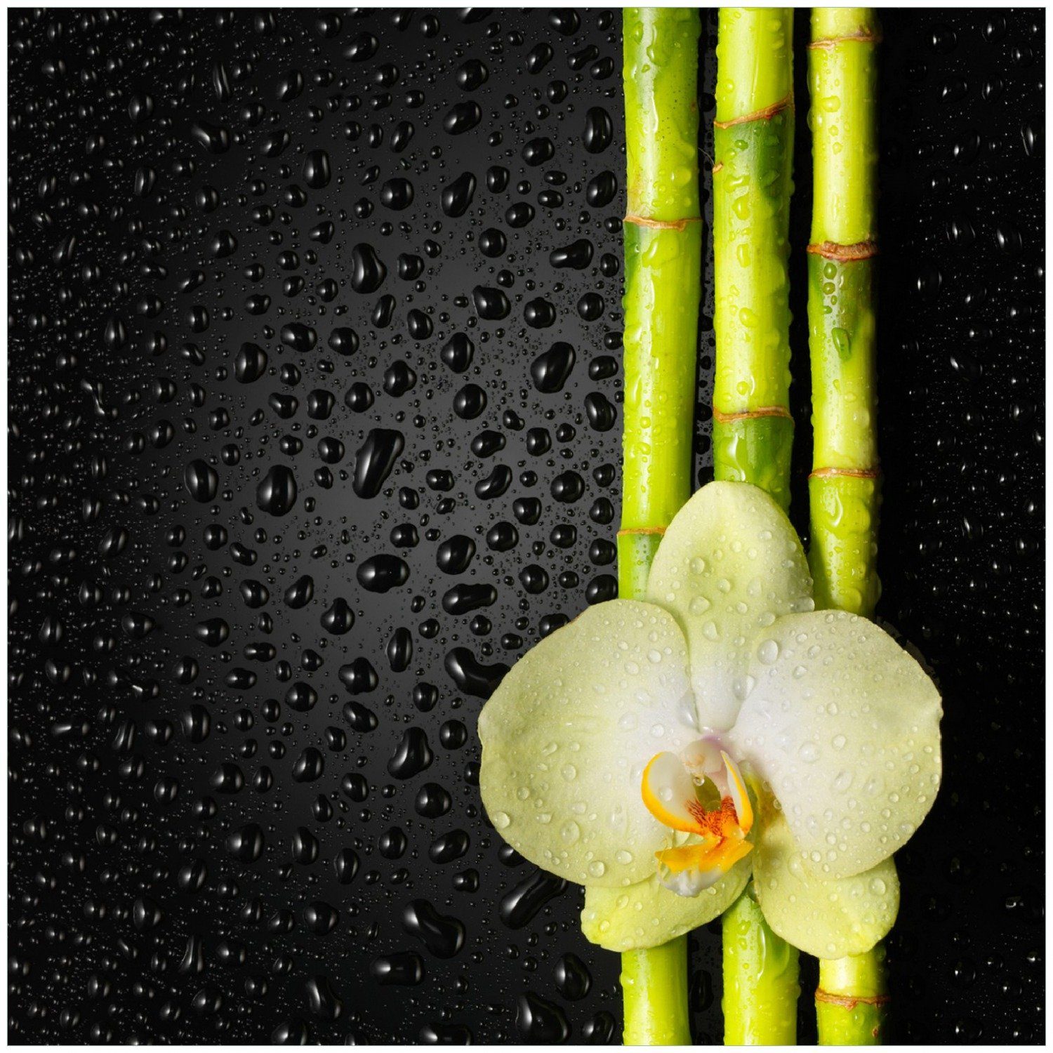 Wallario Memoboard Grüne Orchidee mit Bambus auf schwarz - Regentropfen