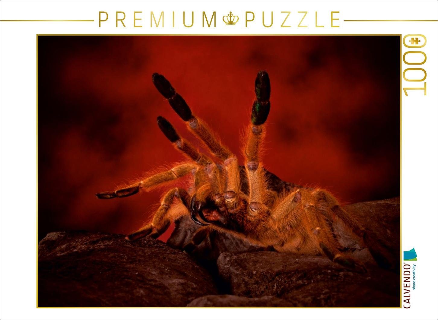 CALVENDO Puzzle CALVENDO Puzzle Mystische Vogelspinnen 1000 Teile Lege-Größe 64 x 48 cm Foto-Puzzle Bild von Horst Baderschneider, 1000 Puzzleteile