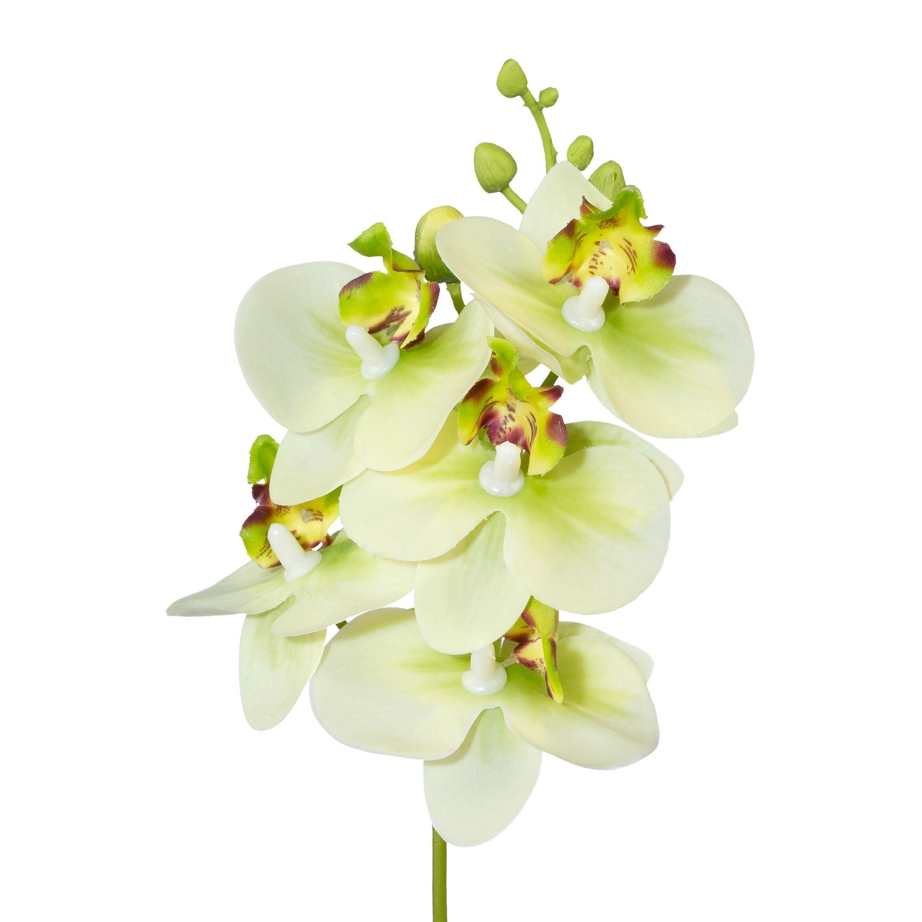 Kunstorchidee Kunstblume Phalaenopsis, Orchideenzweig 27cm Real Touch, Gasper